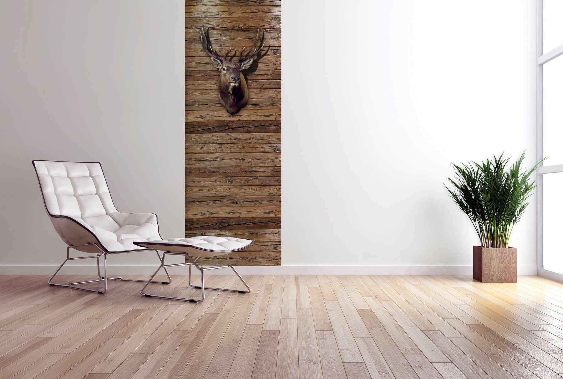             Moderne Fototapete Holzwand mit Hirschkopf auf Premium Glattvlies
        