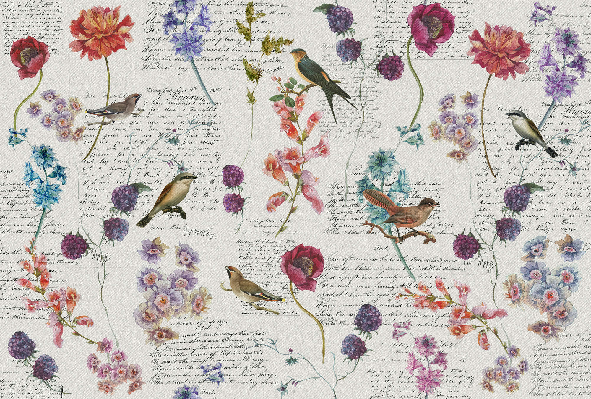             Fototapete mit Blüten & Vögeln im Vintage-Stil – Bunt, Weiß, Blau
        