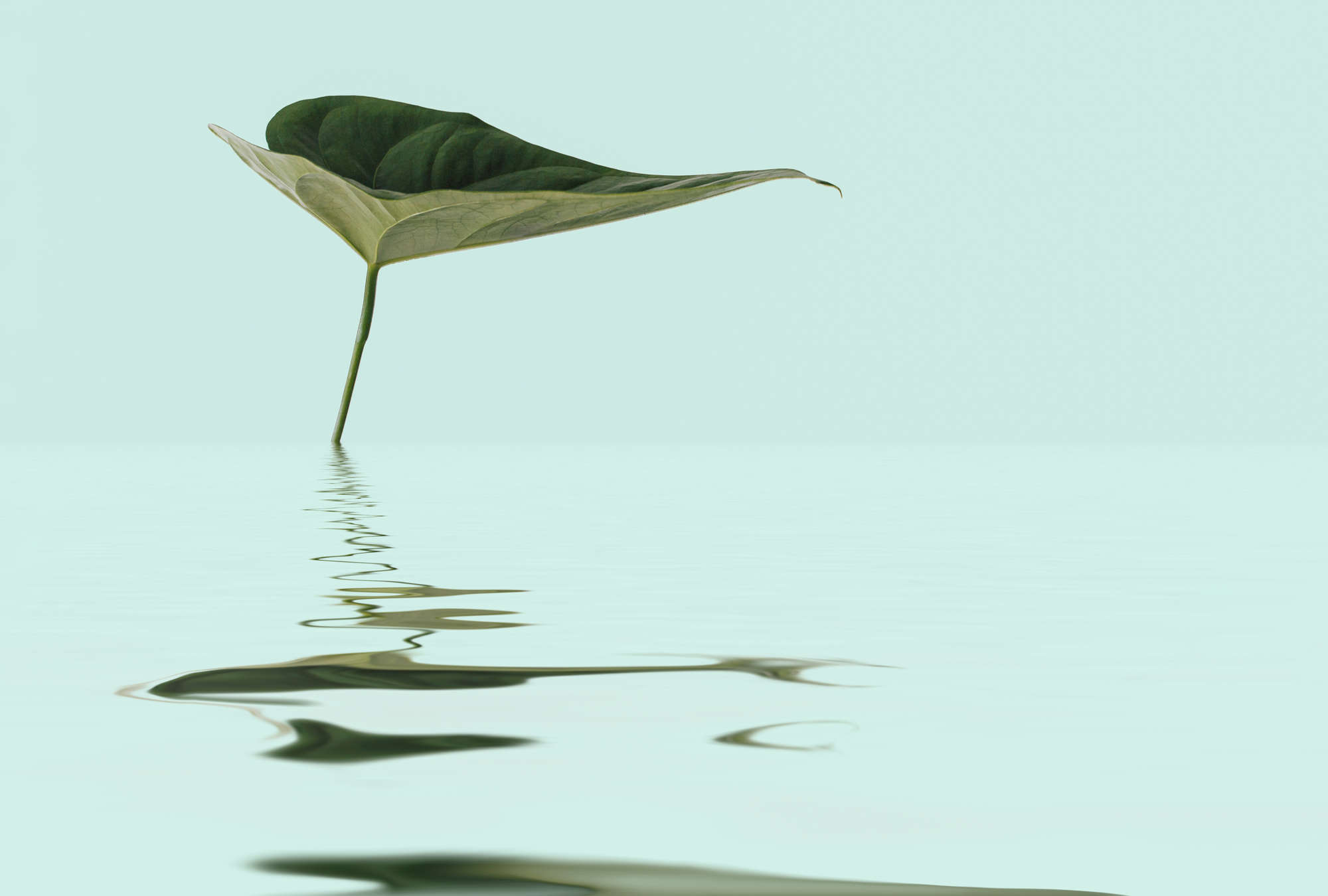             Zen Fototapete mit Blatt im Wasser für Wellness Design
        