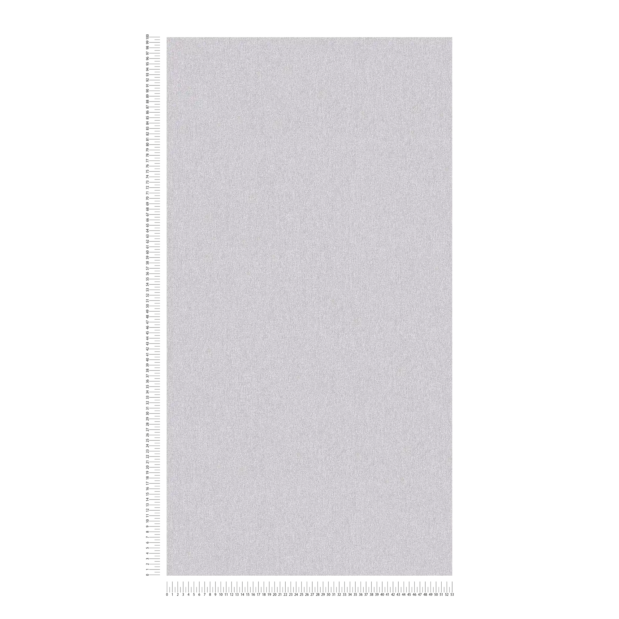             Tapete in Vlies mit Struktur Muster und matt – Hellgrau, Grau
        