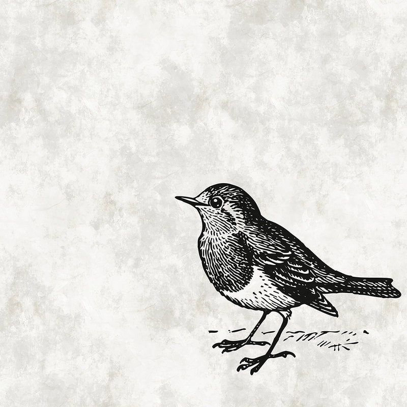 Schwarz-Weiß Fototapete mit Vogel – Walls by Patel

