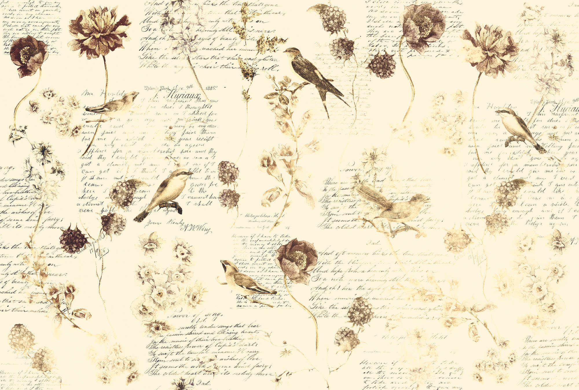             Fototapete romantische mit Blüten & Handschrift-Dekor – Creme, Braun, Beige
        