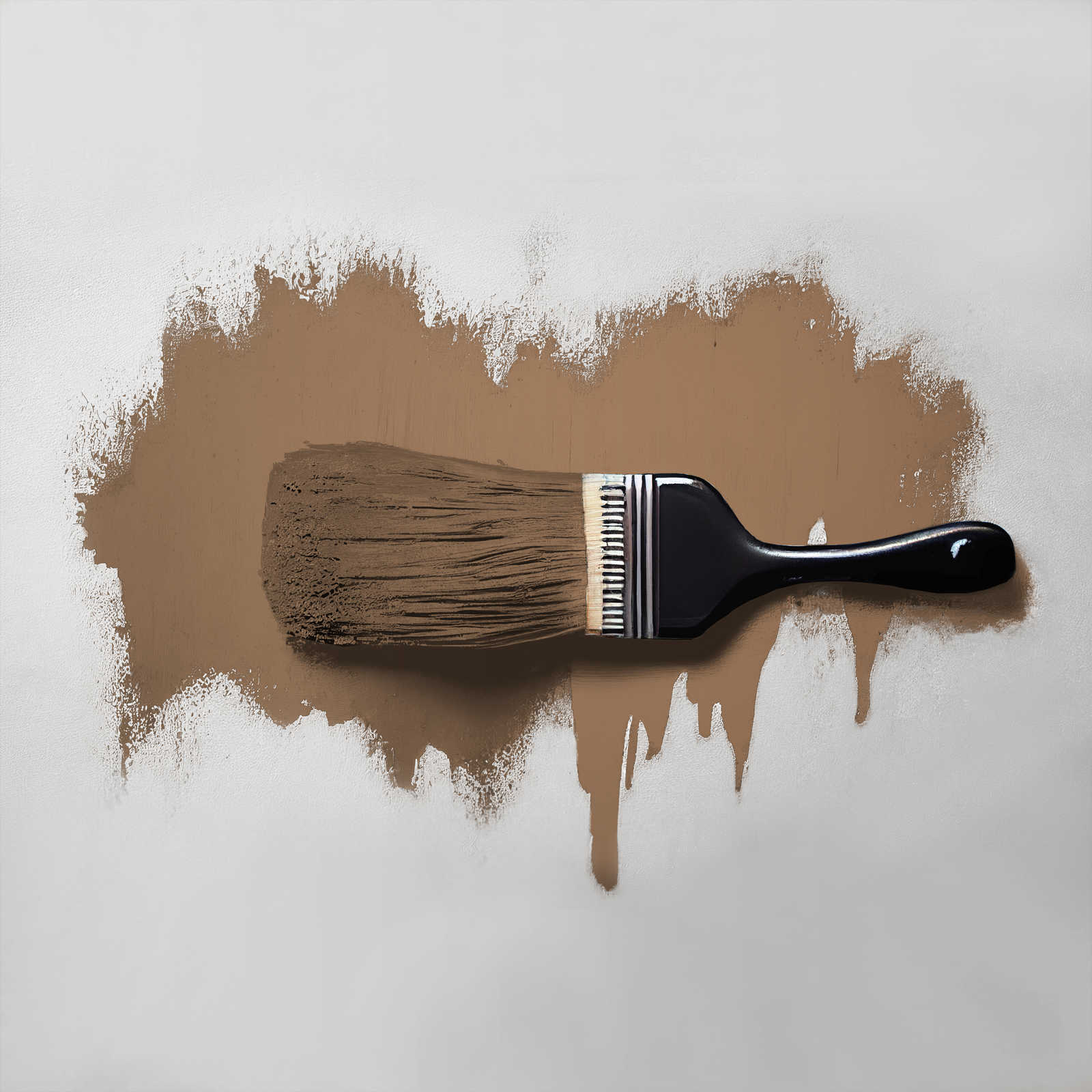             Wandfarbe in gemütlichem Braun »Awesome Anis« TCK6007 – 2,5 Liter
        