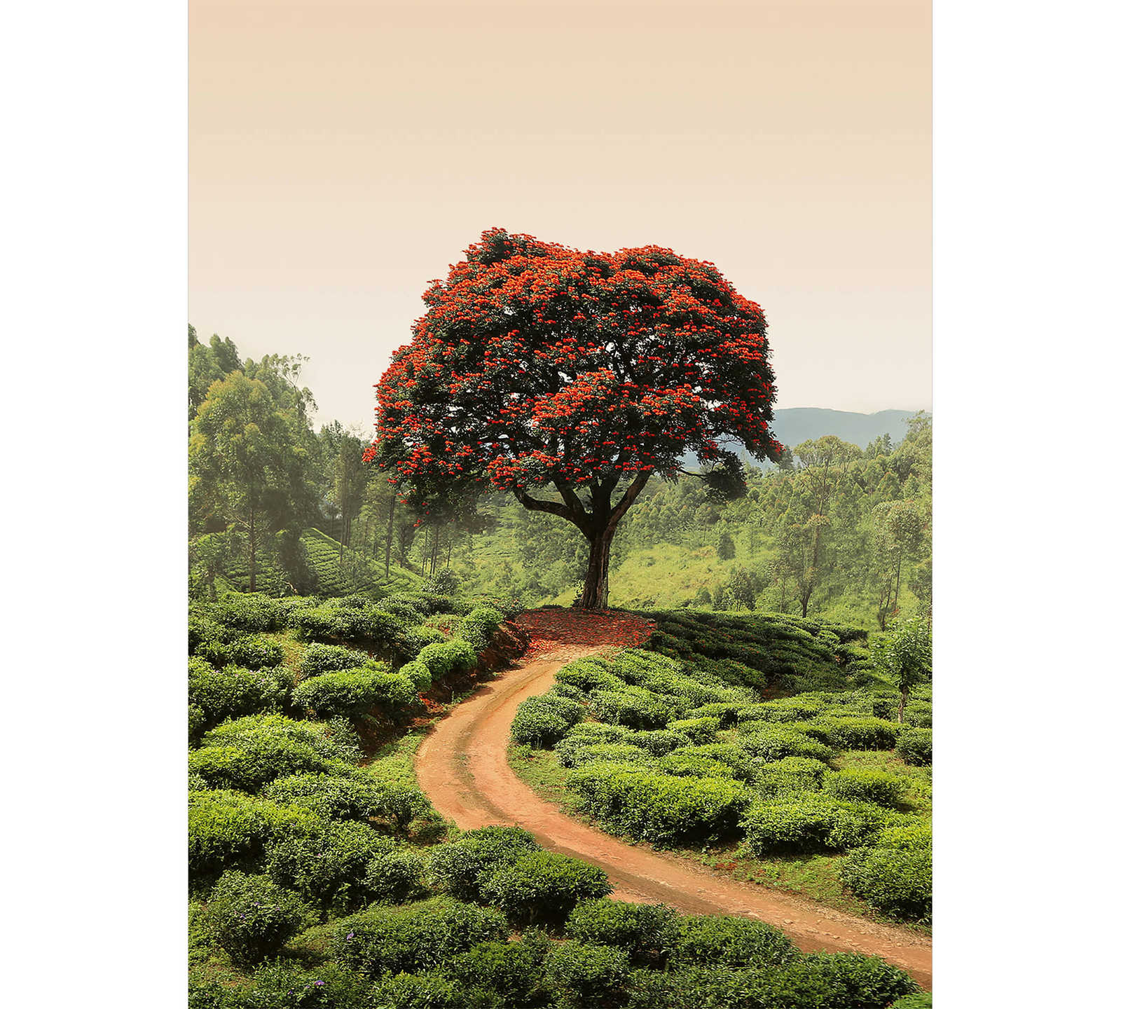 Fototapete Natur Landschaft mit rotem Baum
