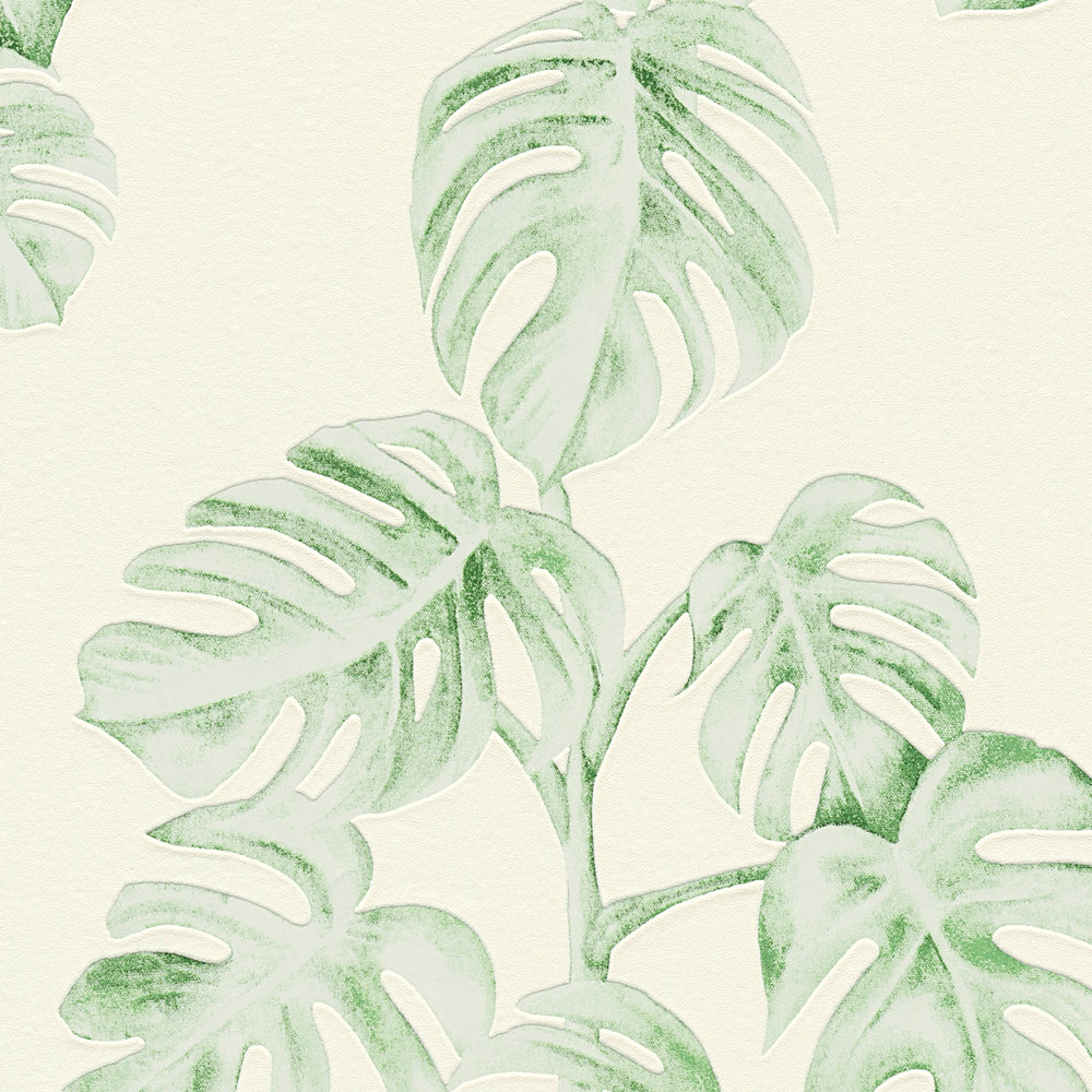             Vliestapete Monstera-Ranken, natürliches Muster – Grün, Weiß
        