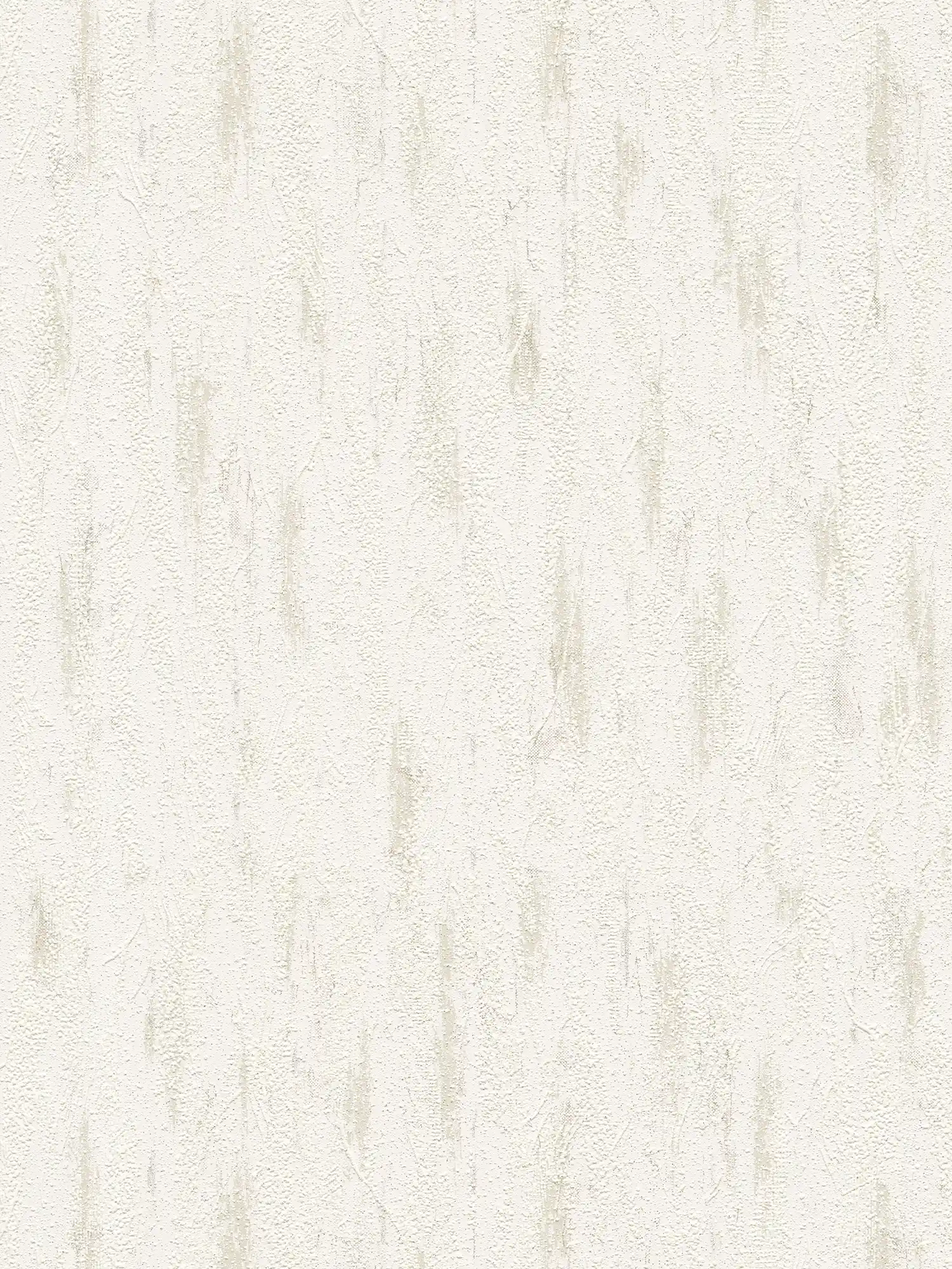 Putzoptik Tapete mit Strukturdekor & Farbmelierung – Grau, Creme
