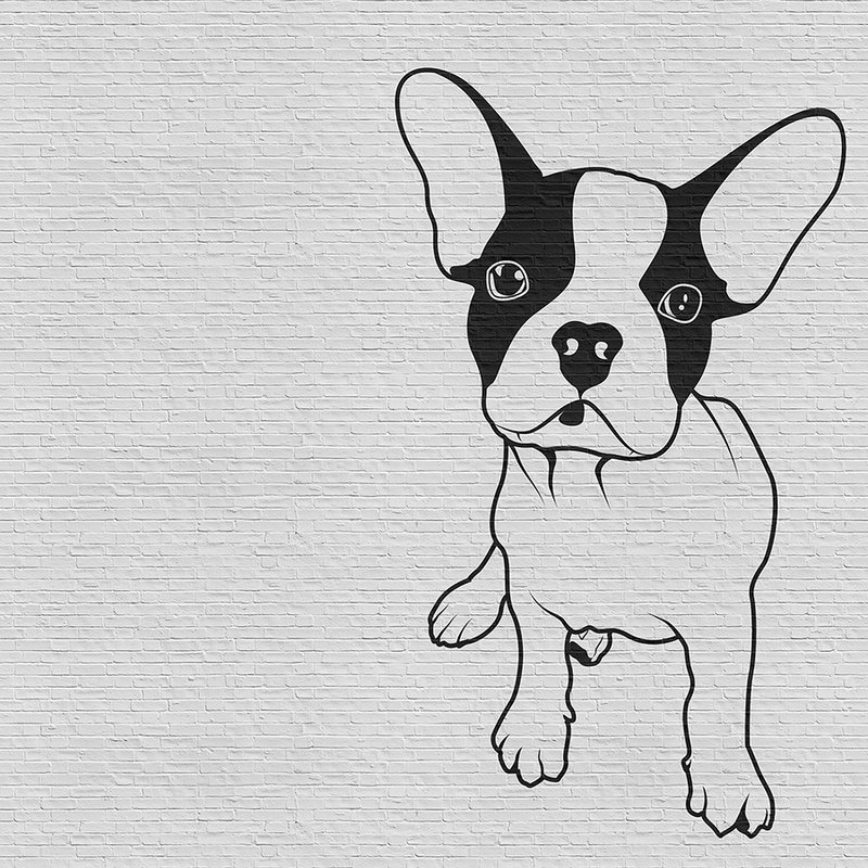 Tattoo you 2 - Fototapete französische Bulldogge, Schwarz-Weiß – Grau, Schwarz | Perlmutt Glattvlies
