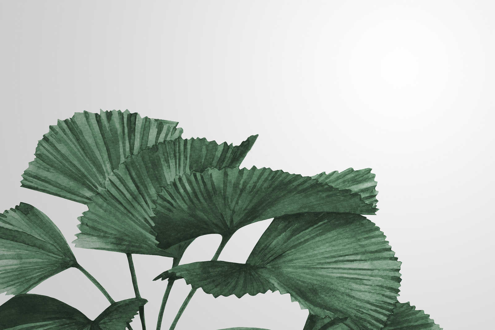             Leinwandbild mit großen Blättern einer Strahlenpalme – 0,90 m x 0,60 m
        