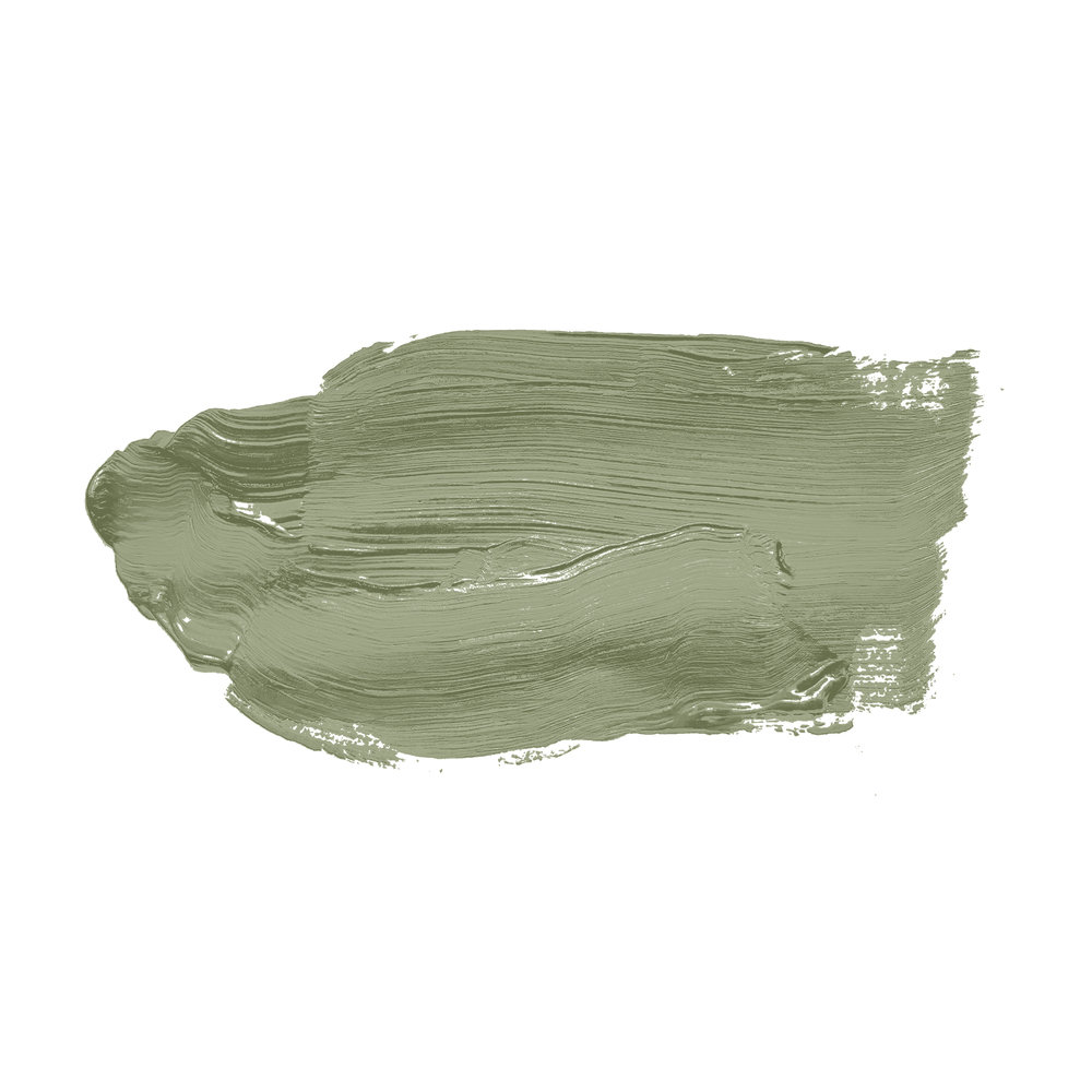             Wandfarbe in wohnlichem Grün »Balmy Basil« TCK4002 – 5 Liter
        