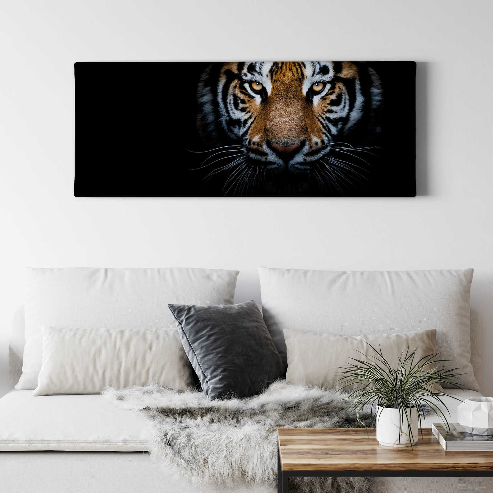             Panorama Leinwandbild mit Tiger in der Natur – 1,00 m x 0,40 m
        