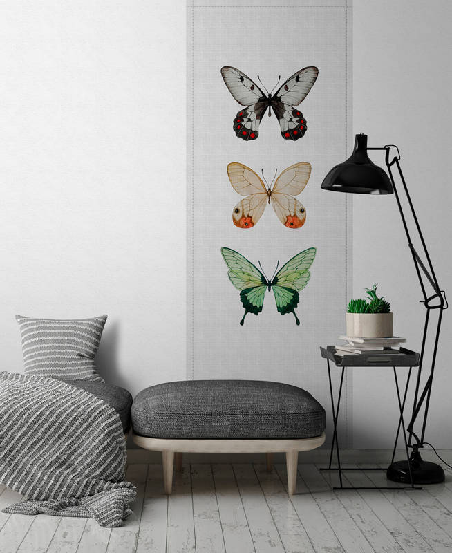             Buzz panels 2 - Fotopaneel in naturleinen Struktur mit bunten Schmetterlinge – Grau, Grün | Perlmutt Glattvlies
        