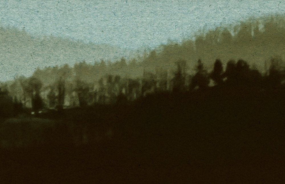             Horizon 2 - Fototapete in Pappe Struktur mit Nebel-Landschaft, Natur Sky Line – Beige, Grün | Struktur Vlies
        
