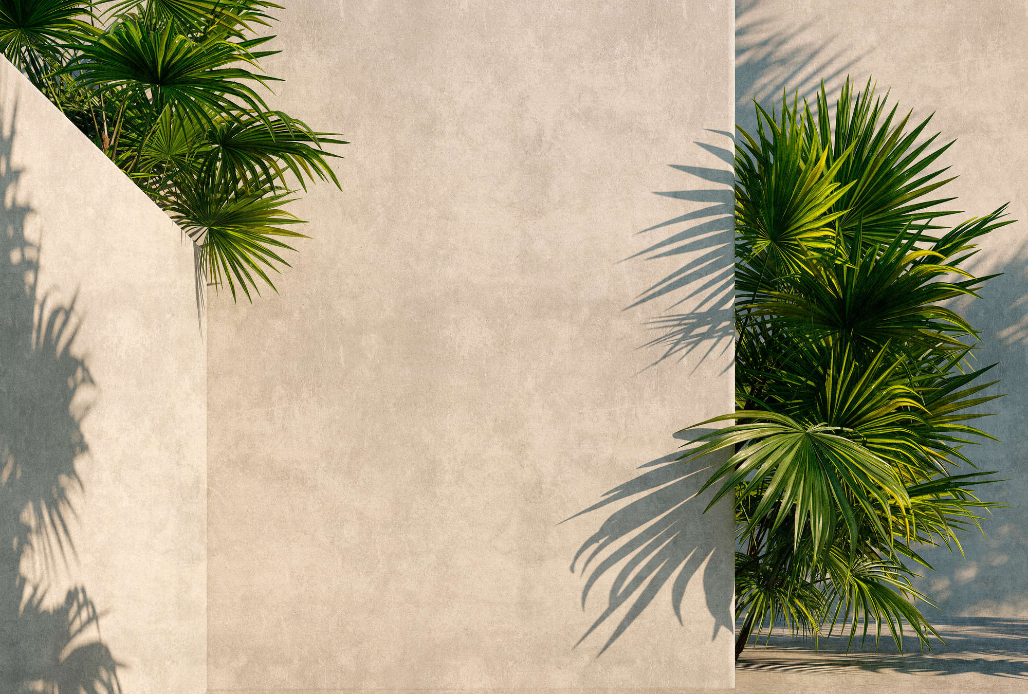             Tunis 1 – Fototapete Palmen im Innenhof mit Putz-Wänden
        