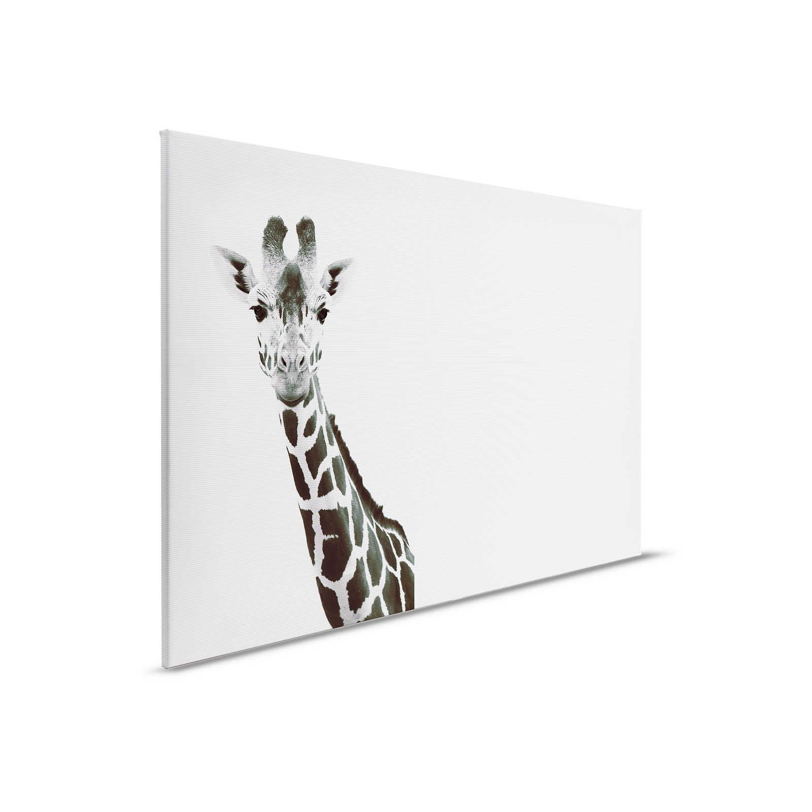 Giraffen Leinwandbild im XXL Schwarz-Weiß Design – 0,90 m x 0,60 m
