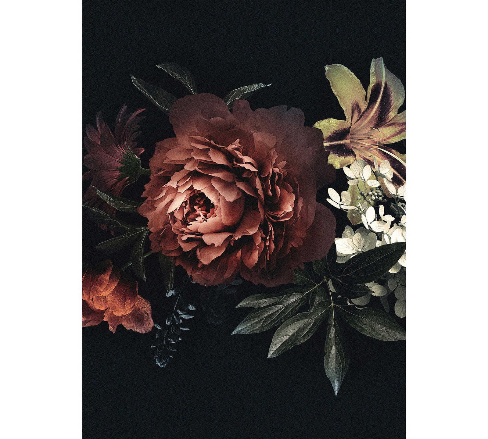 Fototapete Vintage Blumen – Rot, Schwarz
