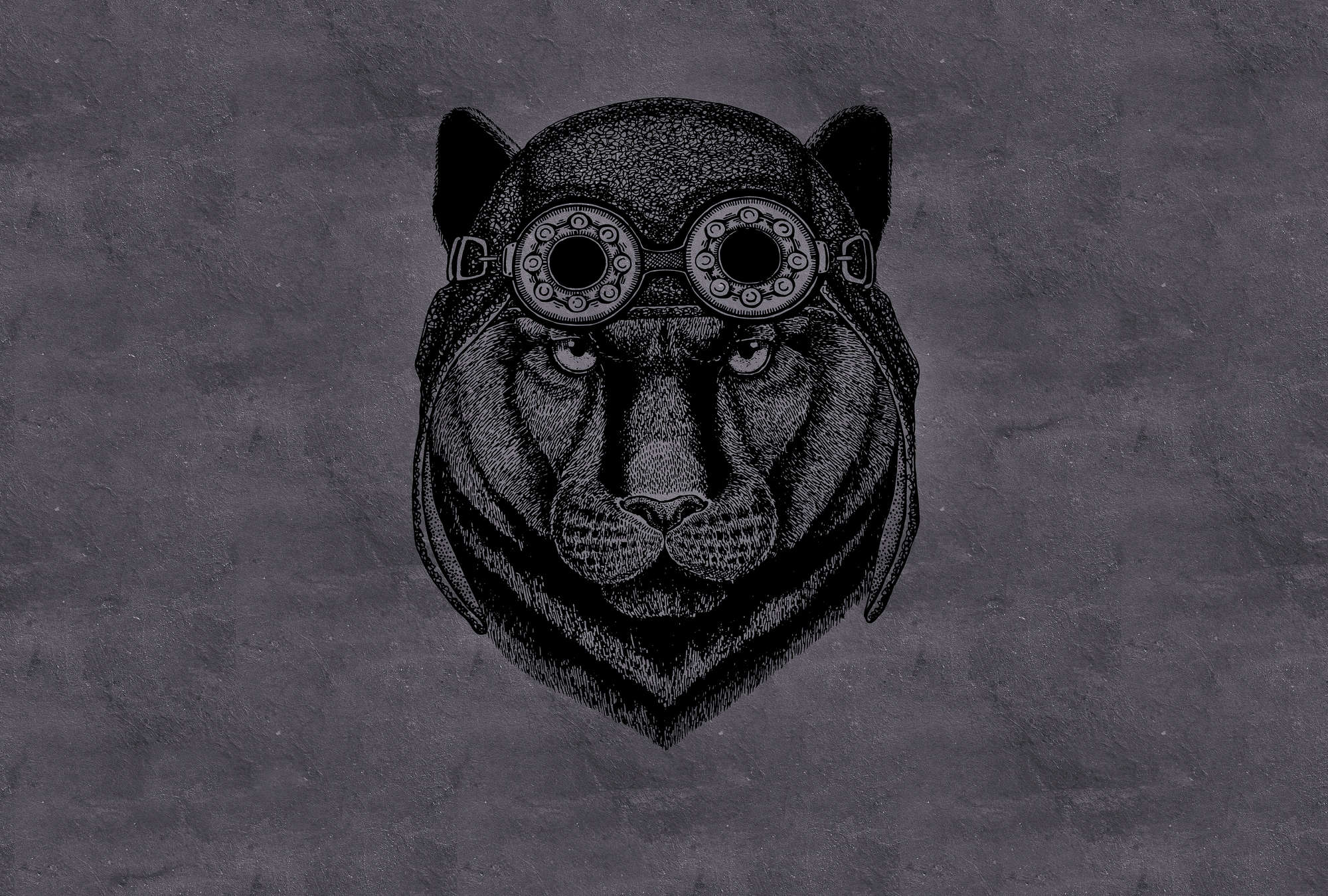             Schwarze Fototapete Panter mit Fliegermütze – Grau
        