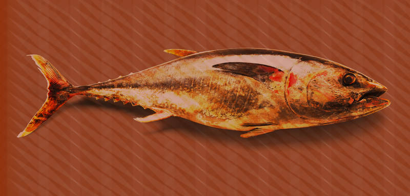             Thunfisch-Tapete im Pop Art, Fisch & Streifen Design – Rot, Orange, Gelb
        