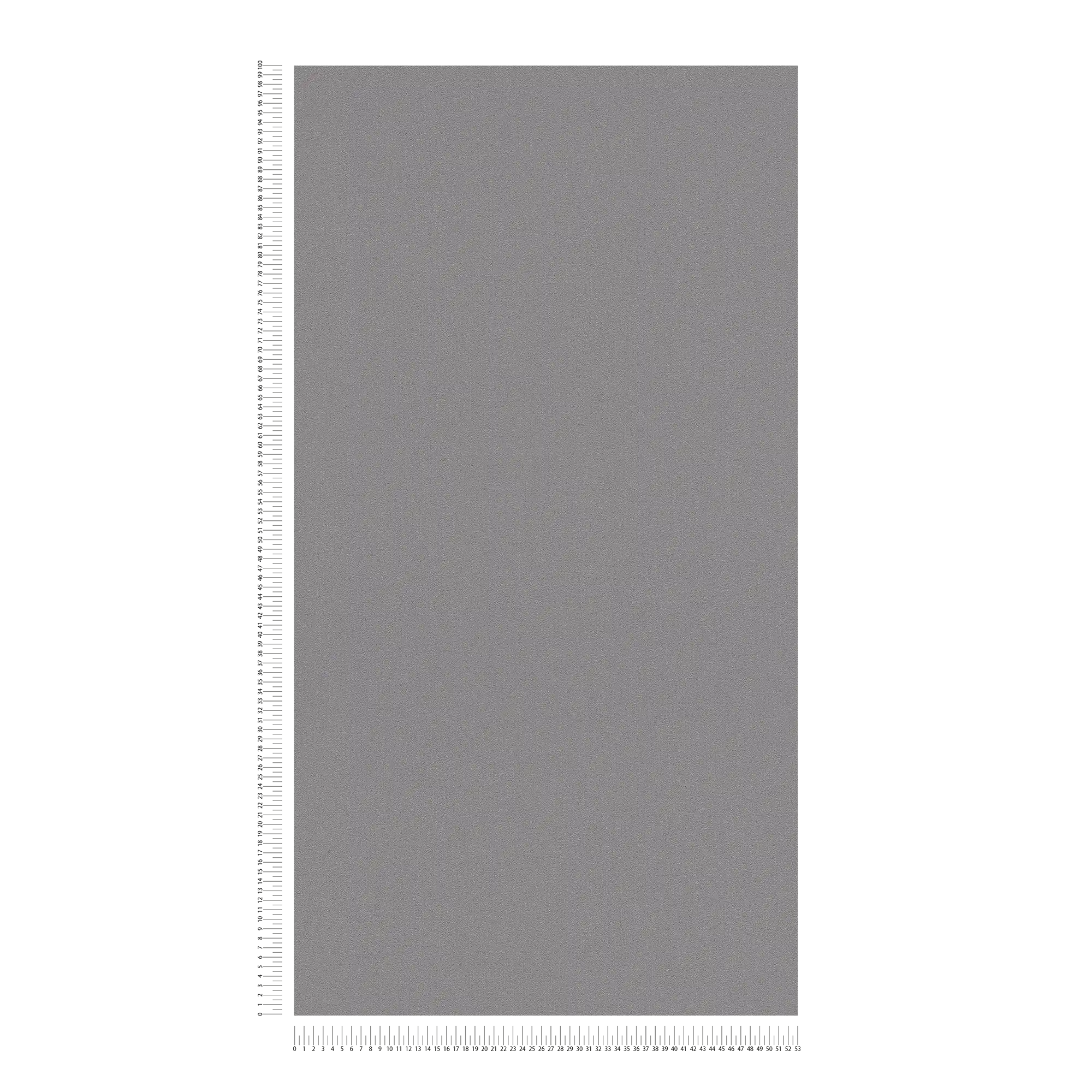             Karl LAGERFELD Tapete monochrom mit Textur – Grau
        
