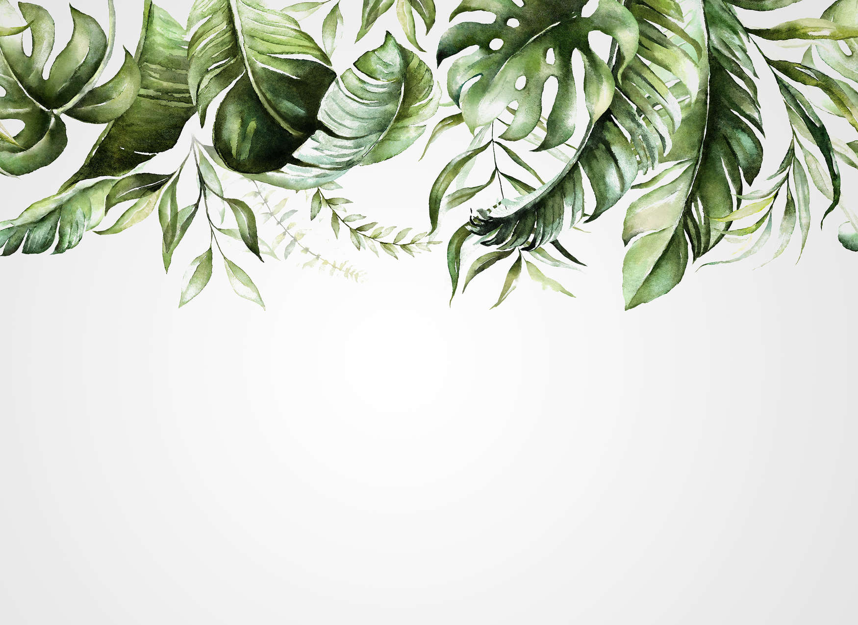             Fototapete mit tropischen Blätterranken auf einer Wand – Grün, Weiß
        