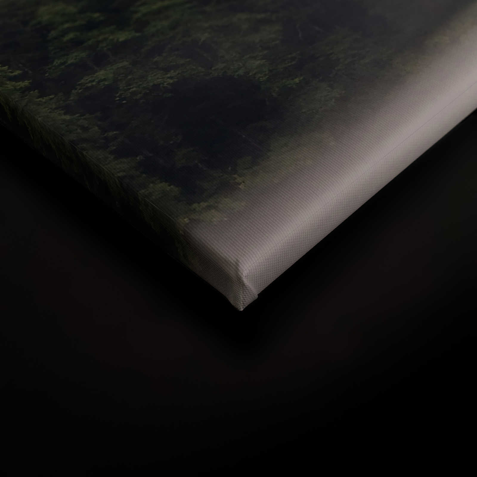             Leinwandbild vernebelter Wald am See – 0,90 m x 0,60 m
        