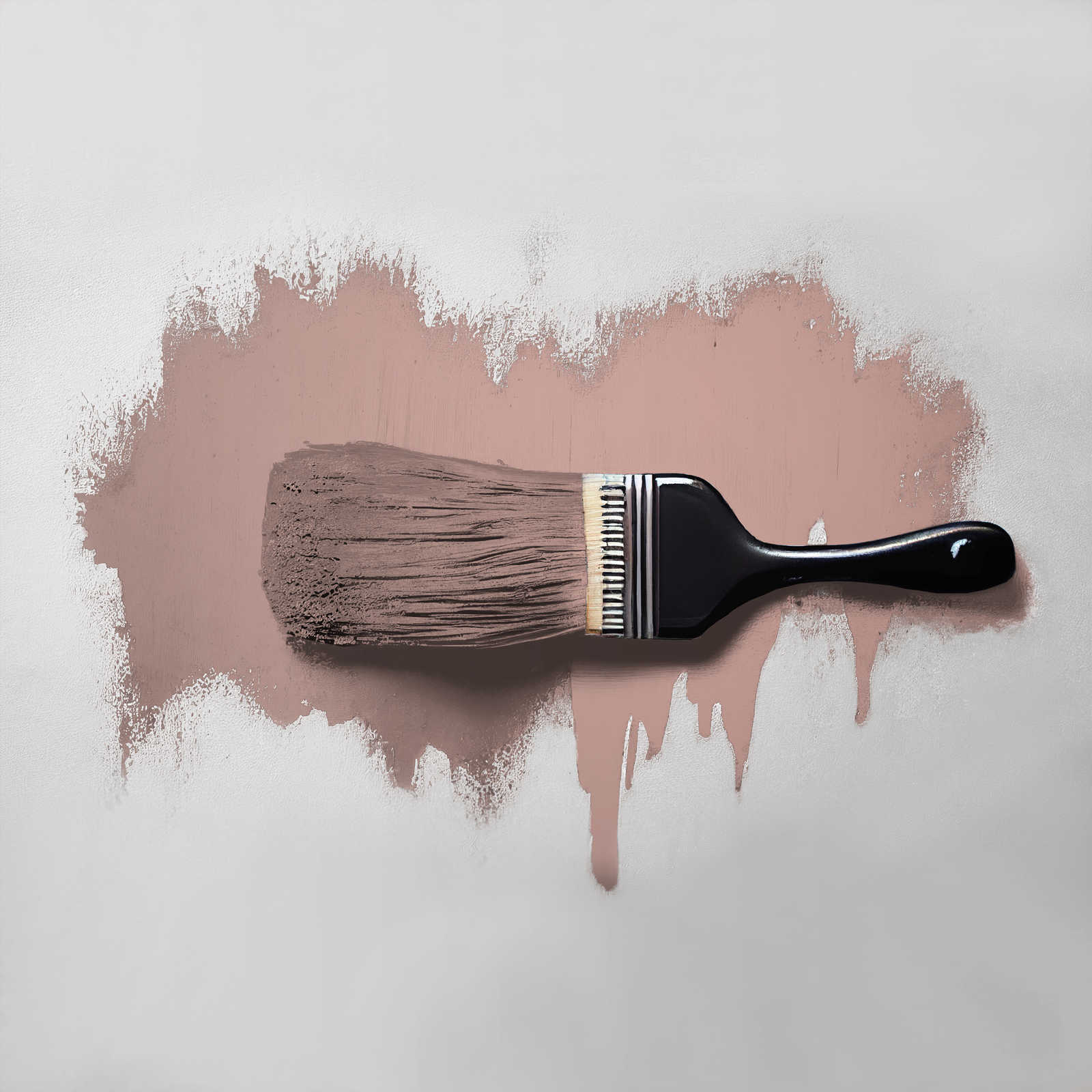             Wandfarbe in rötlichem Beige »Jellied Jostaberry« TCK7002 – 2,5 Liter
        