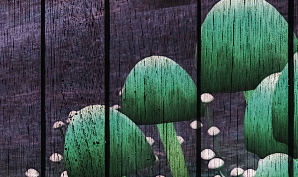             Fantasy 2 - Fototapete magischer Wald mit Holzpaneele Struktur – Grün, Violett | Premium Glattvlies
        