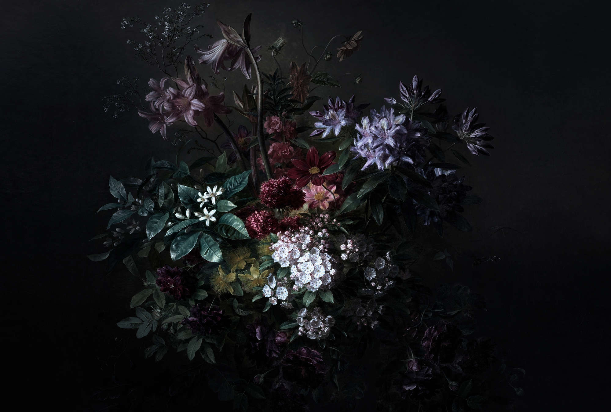             Blumen Fototapete Rosen Stillleben – Walls by Patel
        