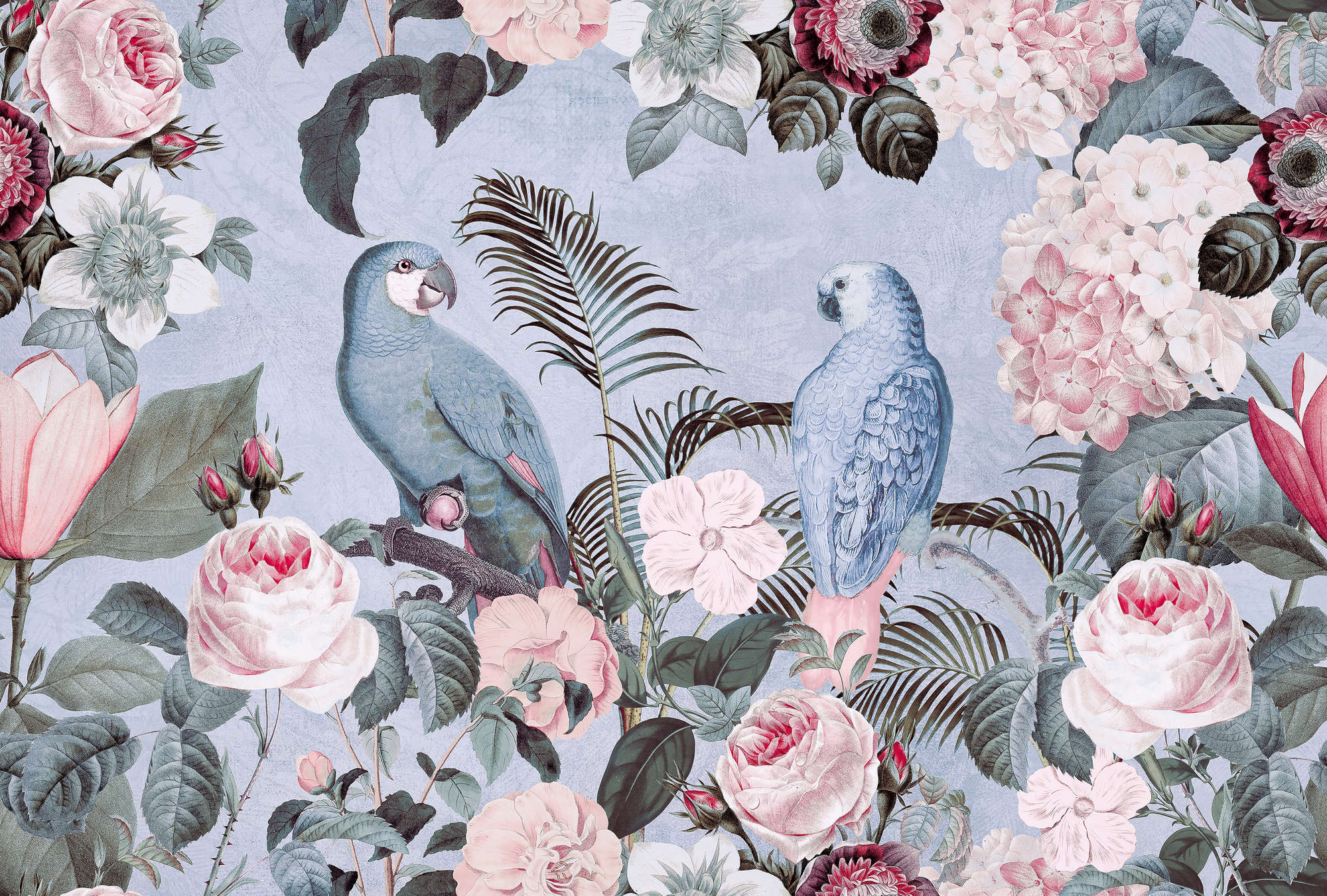             Fototapete Papageien Rendezvous mit Blumendesign – Blau
        