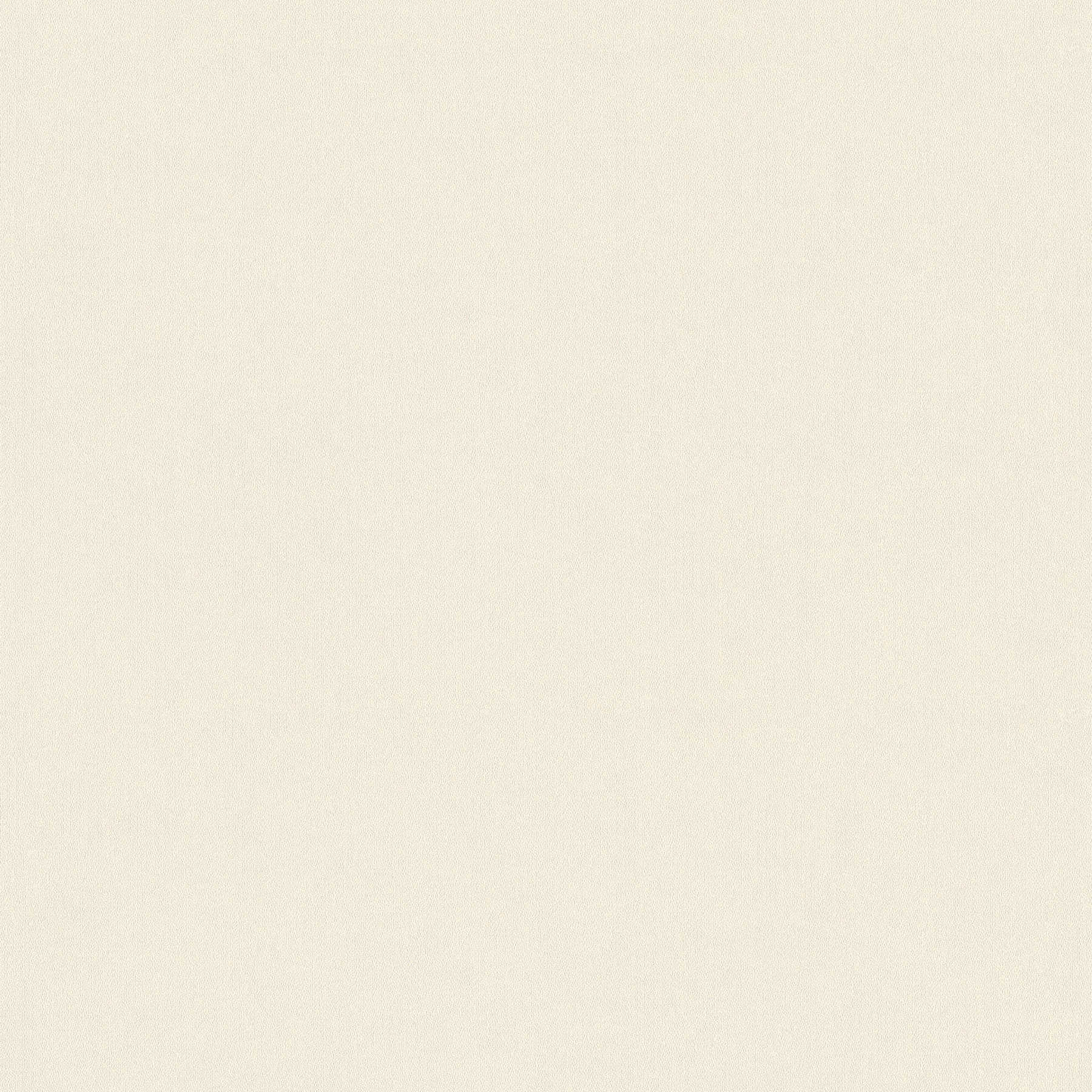             Einfarbige Tapete Vlies, Doppelbreit 106cm – Beige, Creme, Grau
        