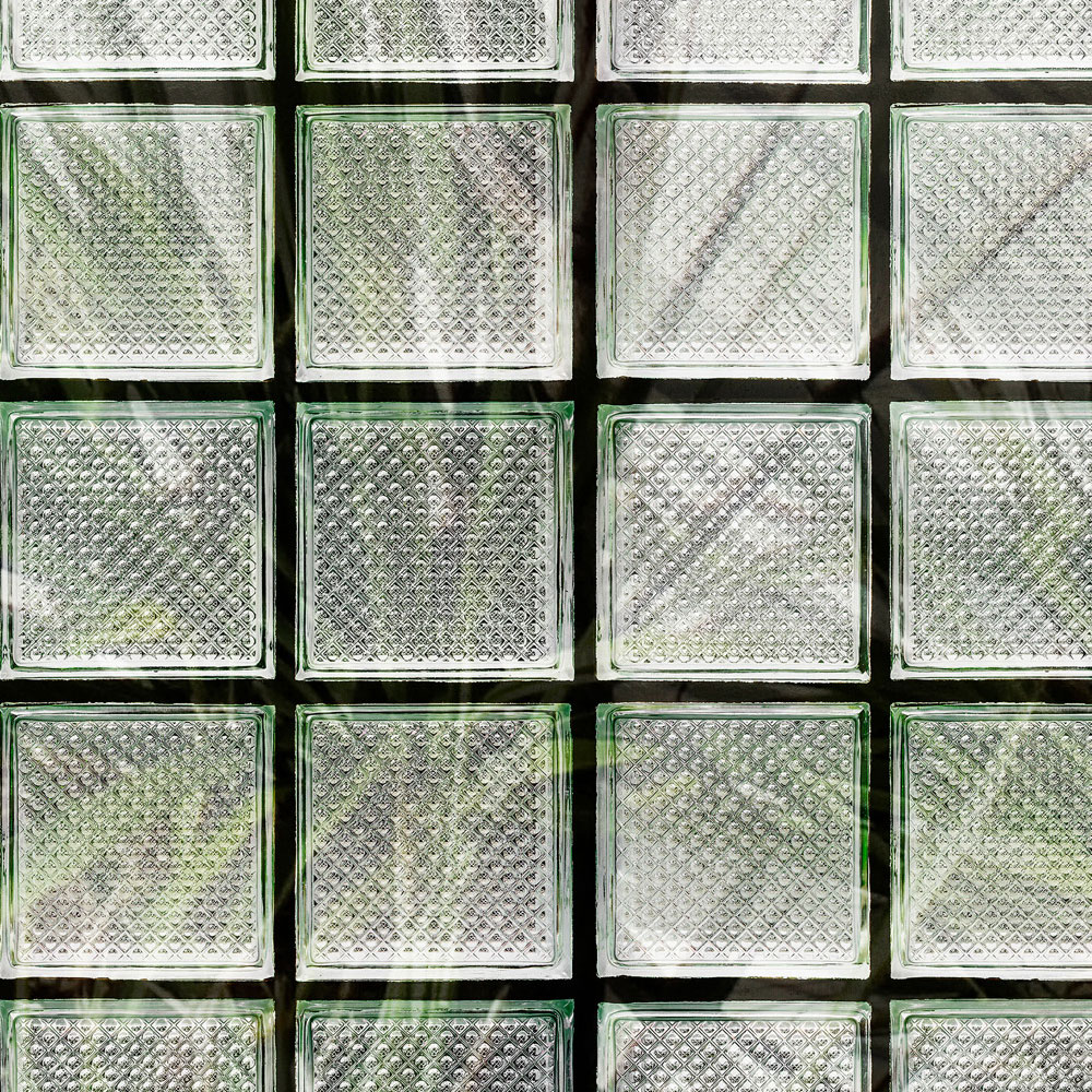             Green House 1 – Fototapete Palmen & Glasbausteine
        