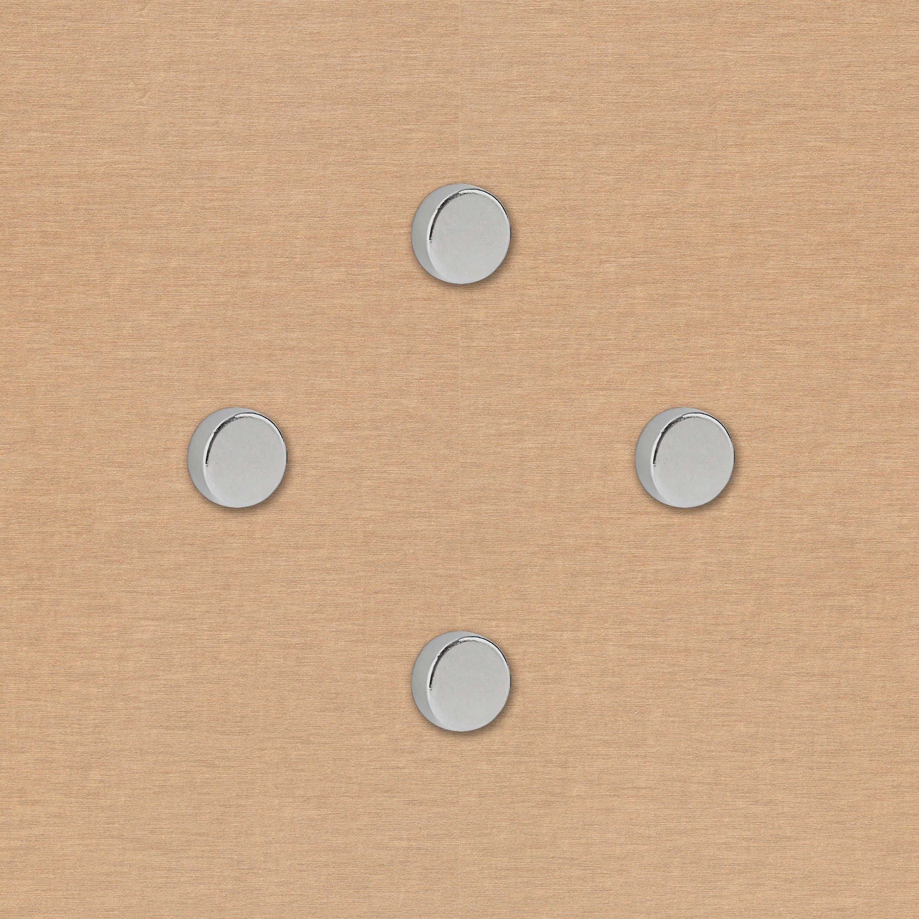             4er-Set runde Starkmagneten in 20 x 5 mm
        