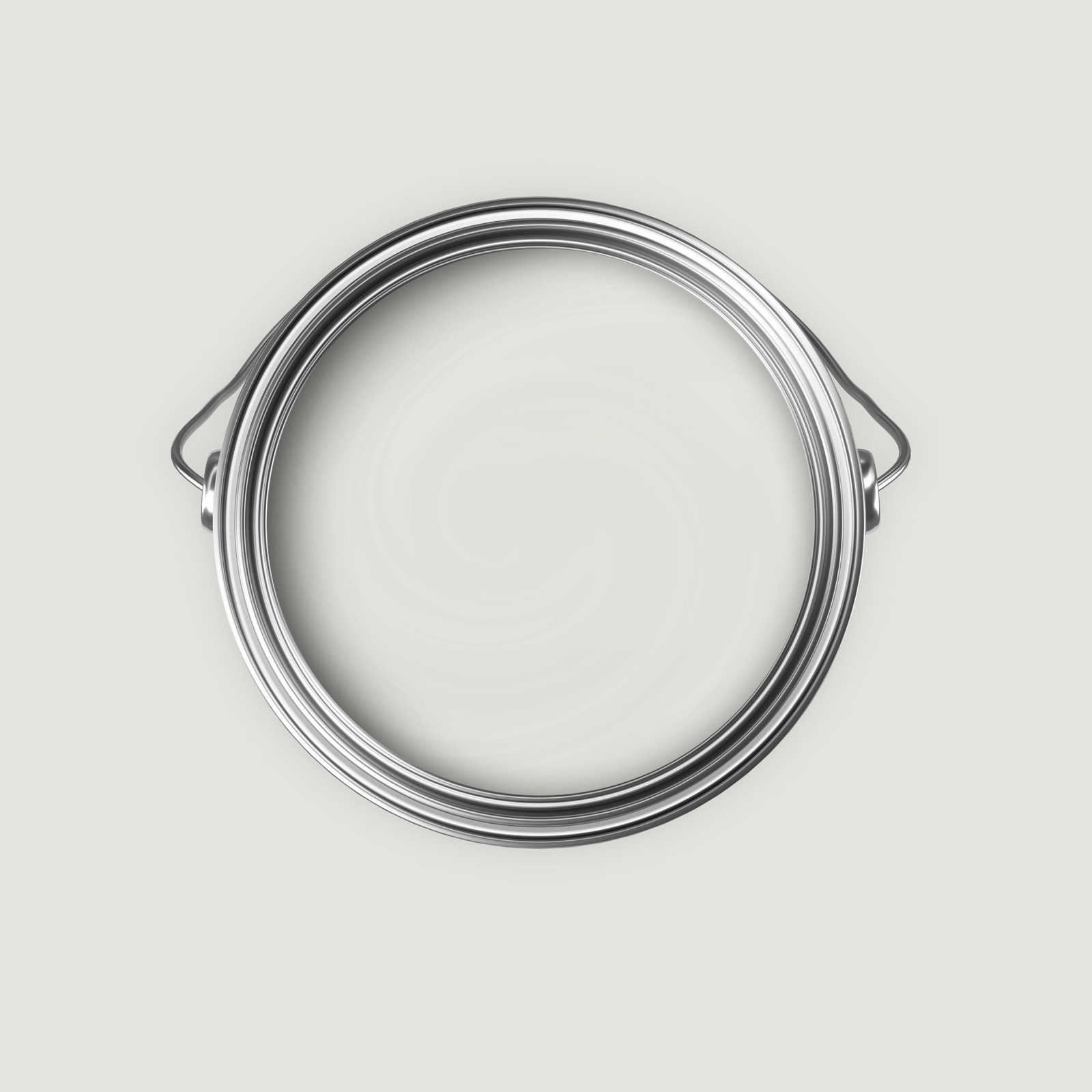            Premium Wandfarbe behagliches Hellgrau »Creamy Grey« NW107 – 5 Liter
        