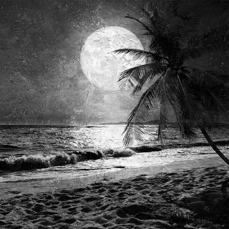 Fototapete Meer & Strand mit Palmen & Mond – Weiß, Grau, Schwarz
