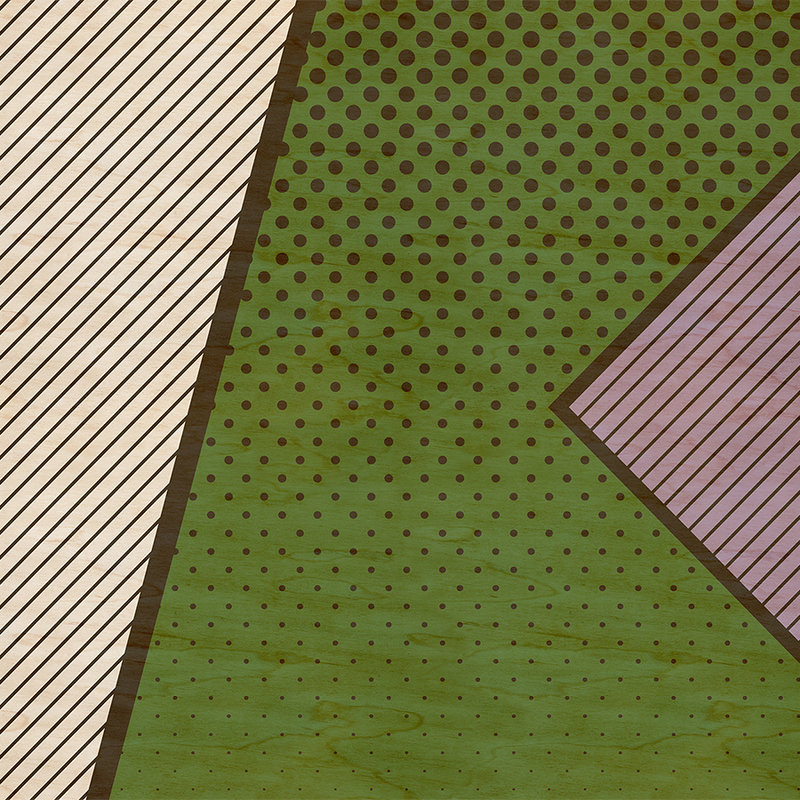 Bird gang 3 - Abstrakte Fototapete in Sperrholz Struktur mit bunte Farbflächen – Beige, Grün | Struktur Vlies
