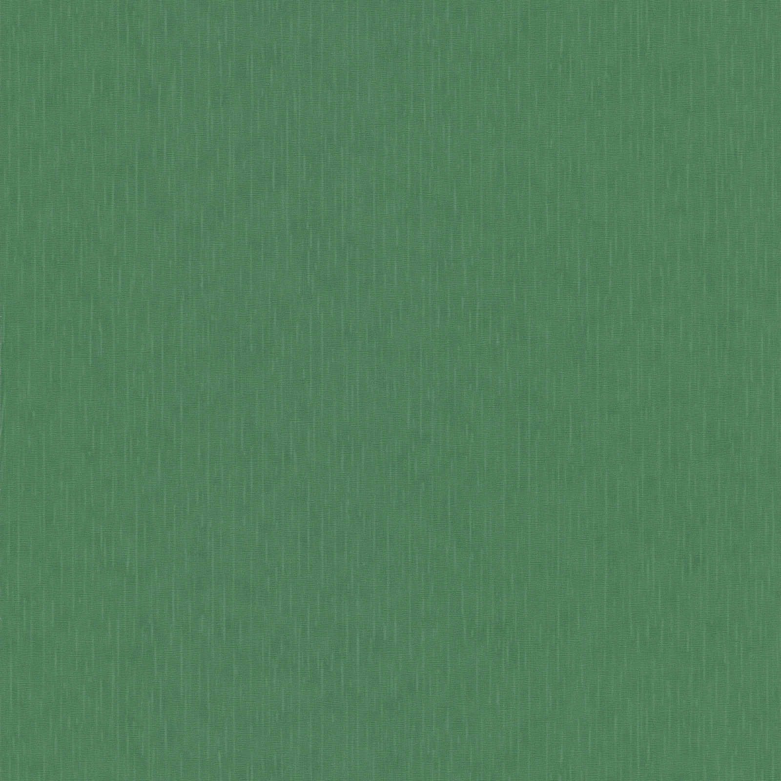 Tannengrüne Tapete VERSACE mit Strukturprägung – Grün
