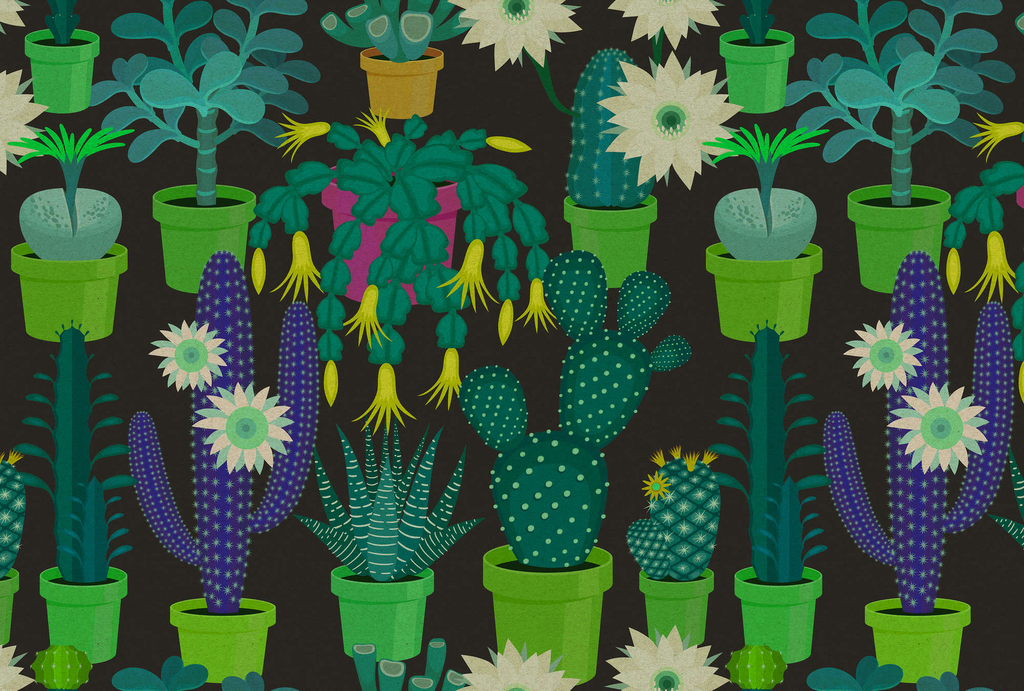             Cactus garden 2 - Fototapete mit bunten Kakteen im Comic Stil in Pappe Struktur – Grün, Schwarz | Struktur Vlies
        