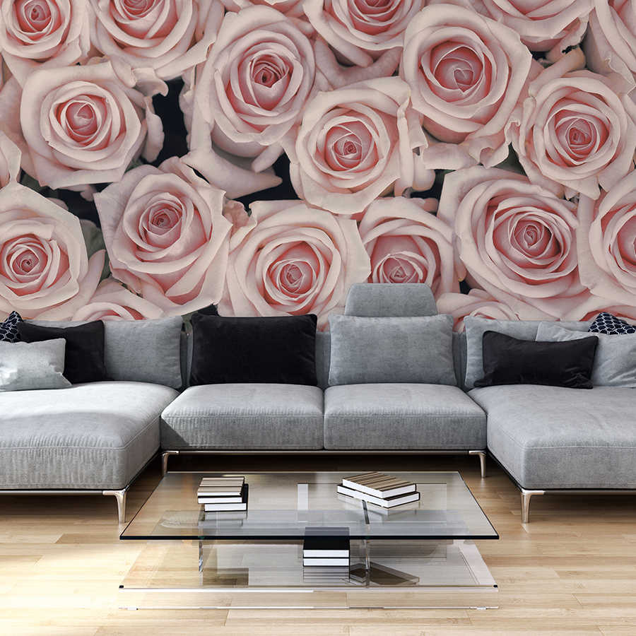 Pflanzen Fototapete rosa und weiße Rosen auf Matt Glattvlies
