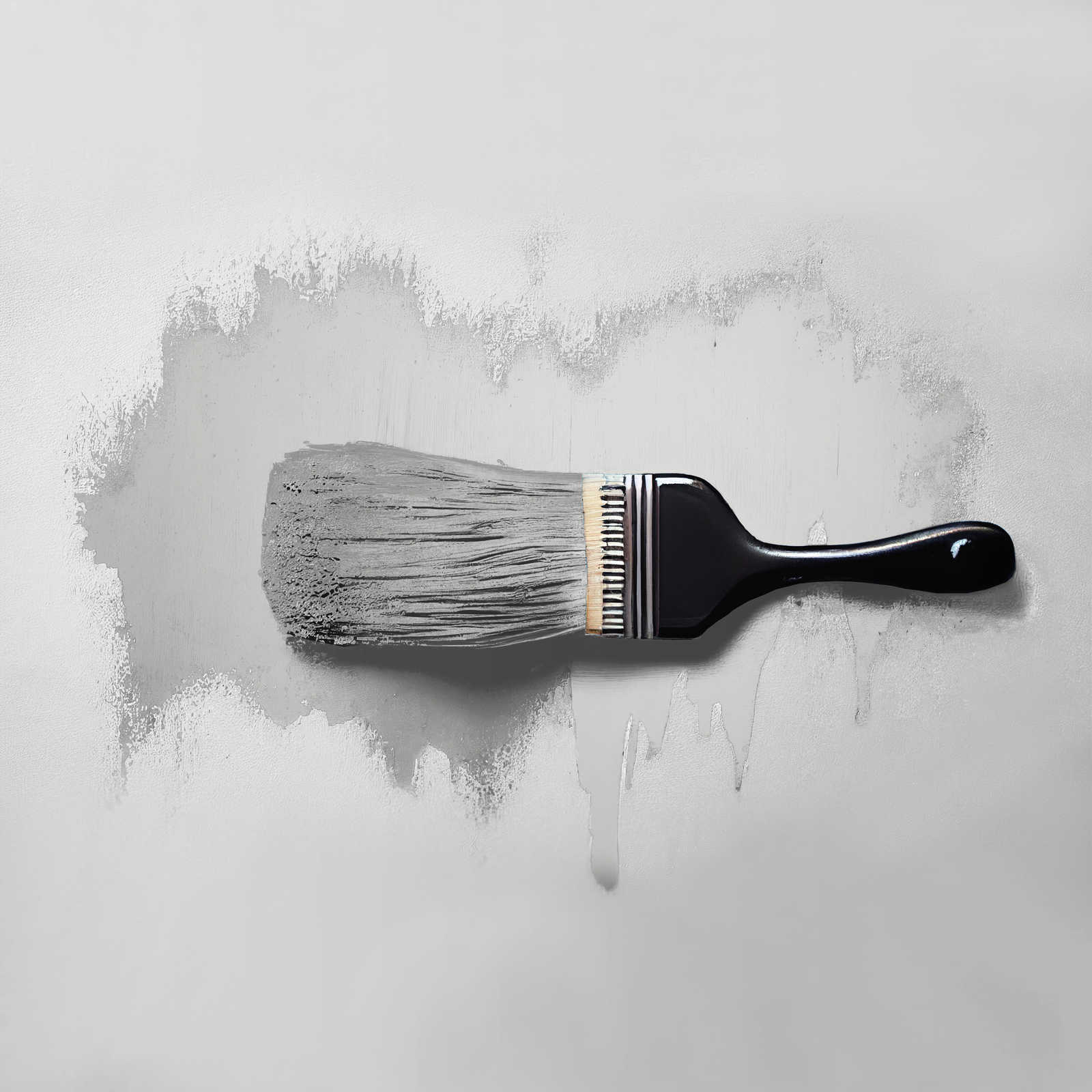             Wandfarbe in bläulichem Grau »Pure Pitaya« TCK1003 – 2,5 Liter
        
