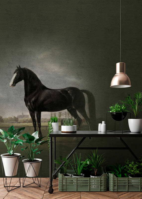             Pferde Fototapete Klassik Gemäldestil – Schwarz, Weiß
        