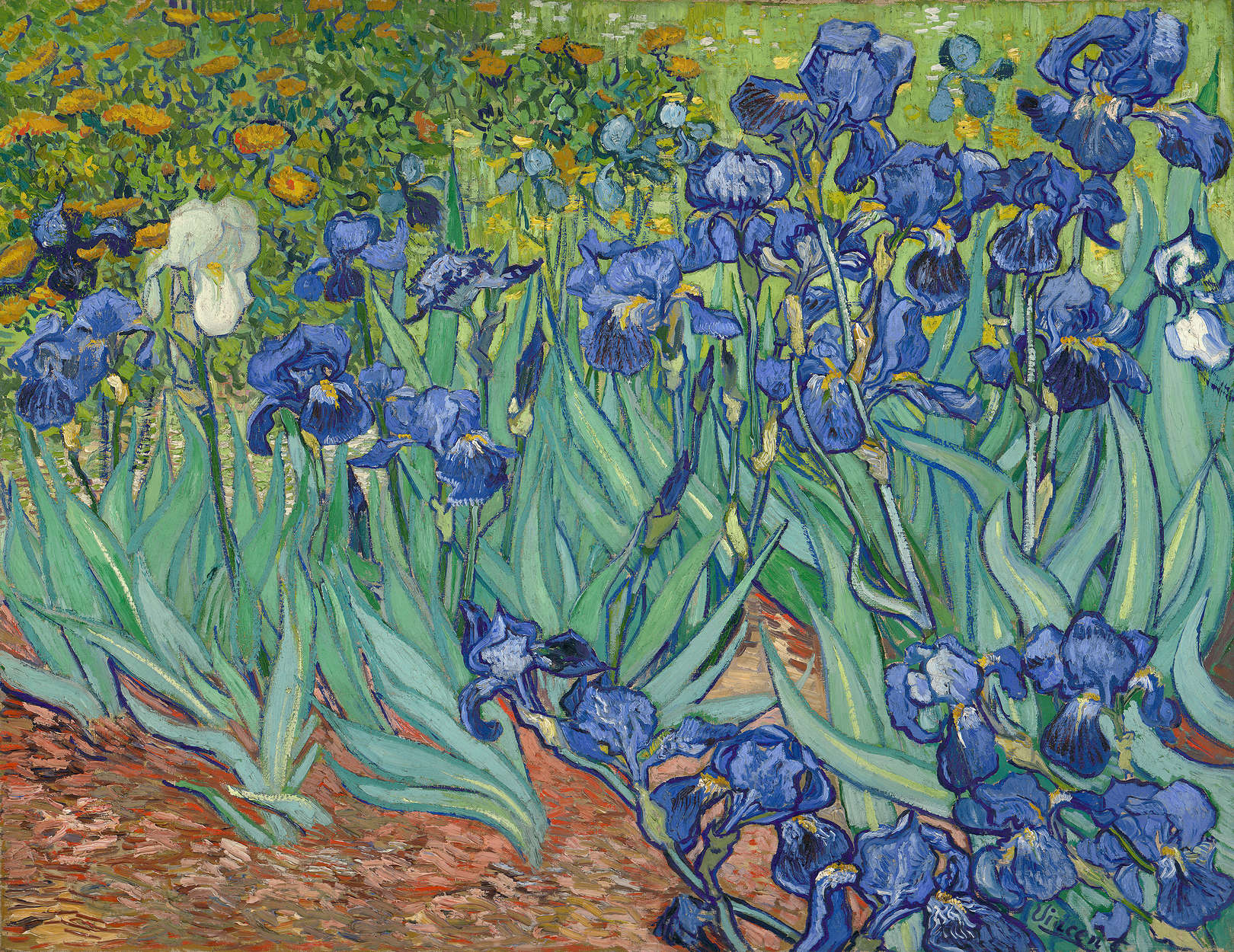             Fototapete "Schwertlilien" von Vincent van Gogh
        