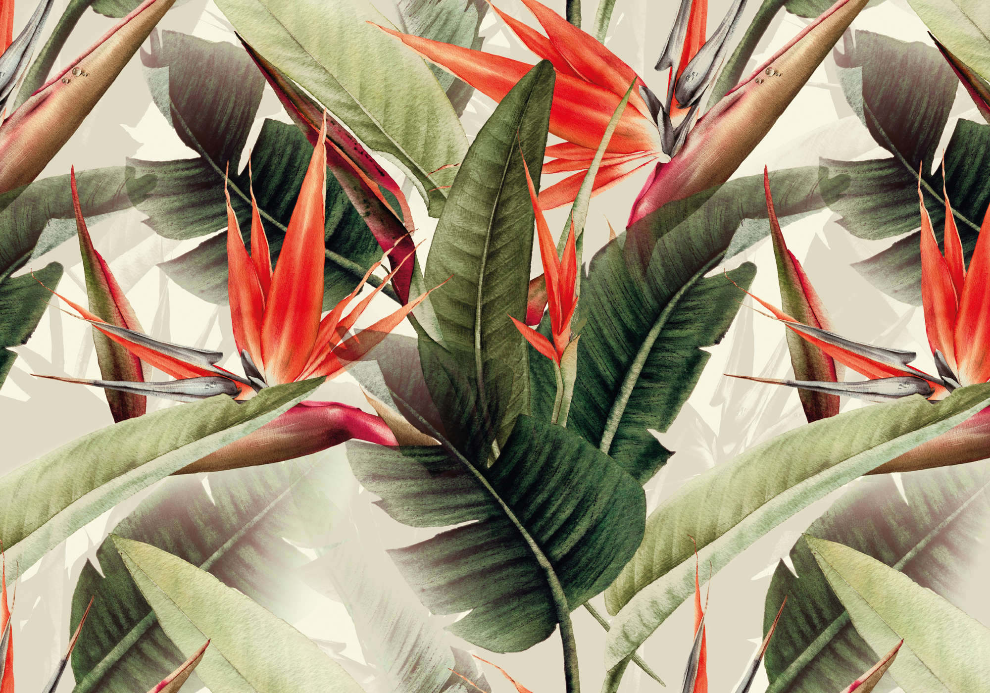             Fototapete Dschungel Blättern & Paradiesvogelblume
        