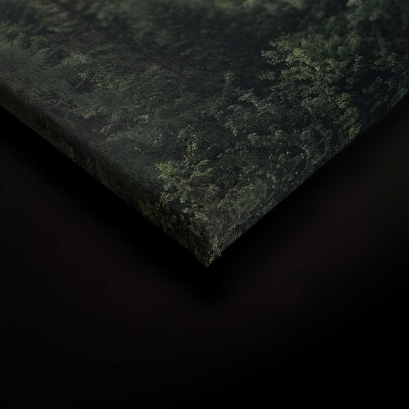             Leinwand mit Wald von oben an einem nebeligen Tag – 0,90 m x 0,60 m
        