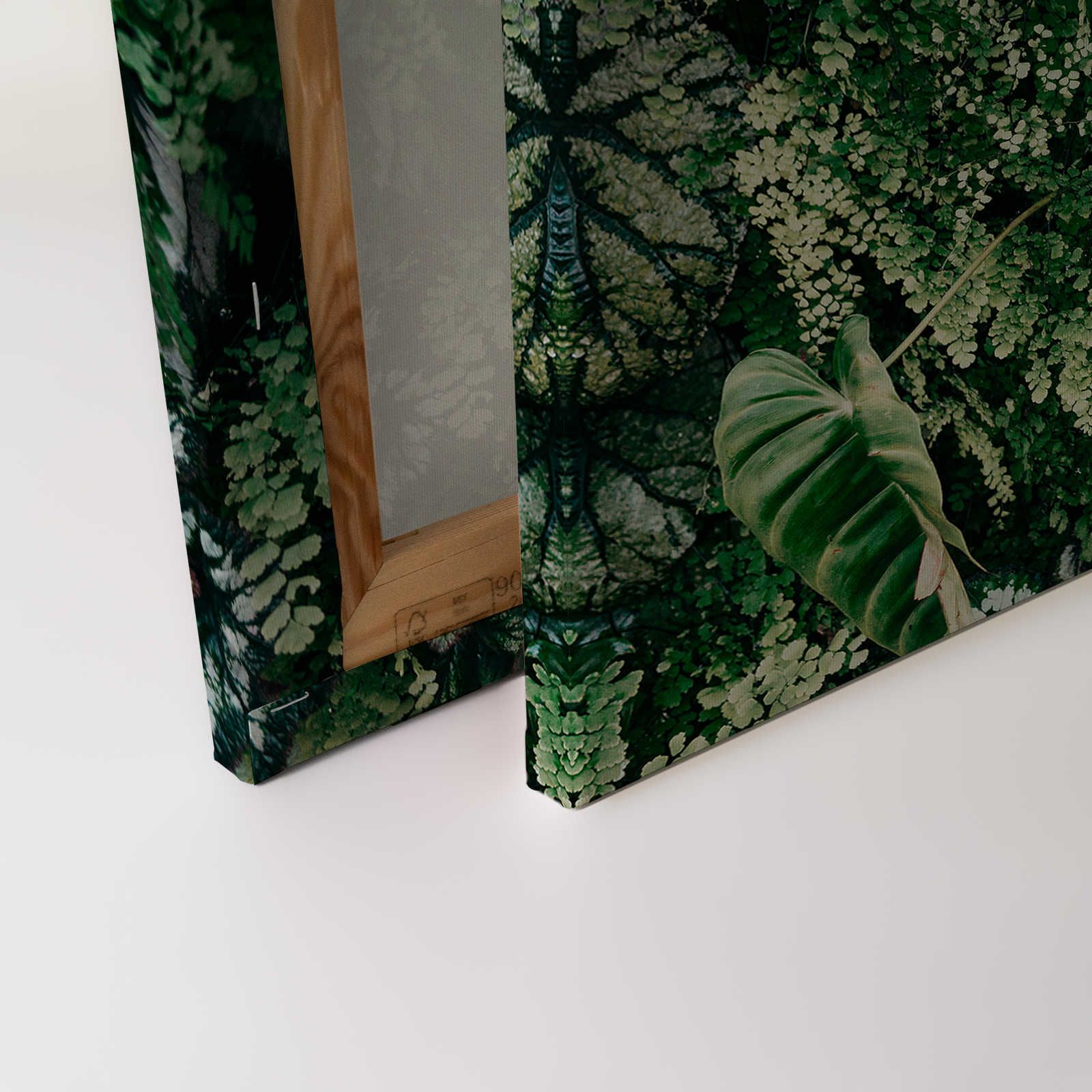             Deep Green 2 - Leinwandbild Blätterdickicht, Farne & Hängepflanzen – 0,90 m x 0,60 m
        