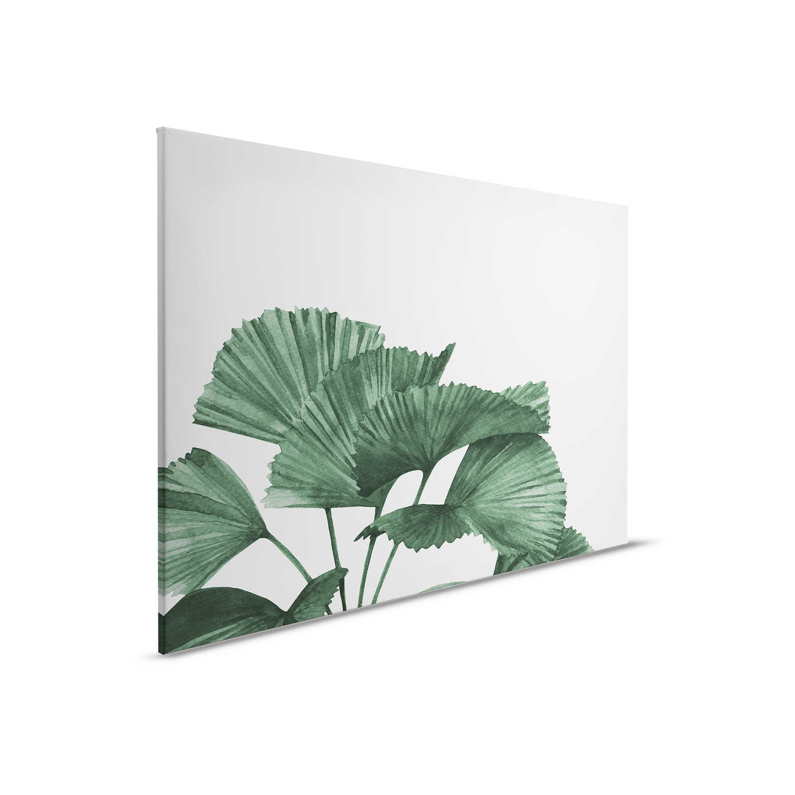 Leinwandbild mit großen Blättern einer Strahlenpalme – 0,90 m x 0,60 m
