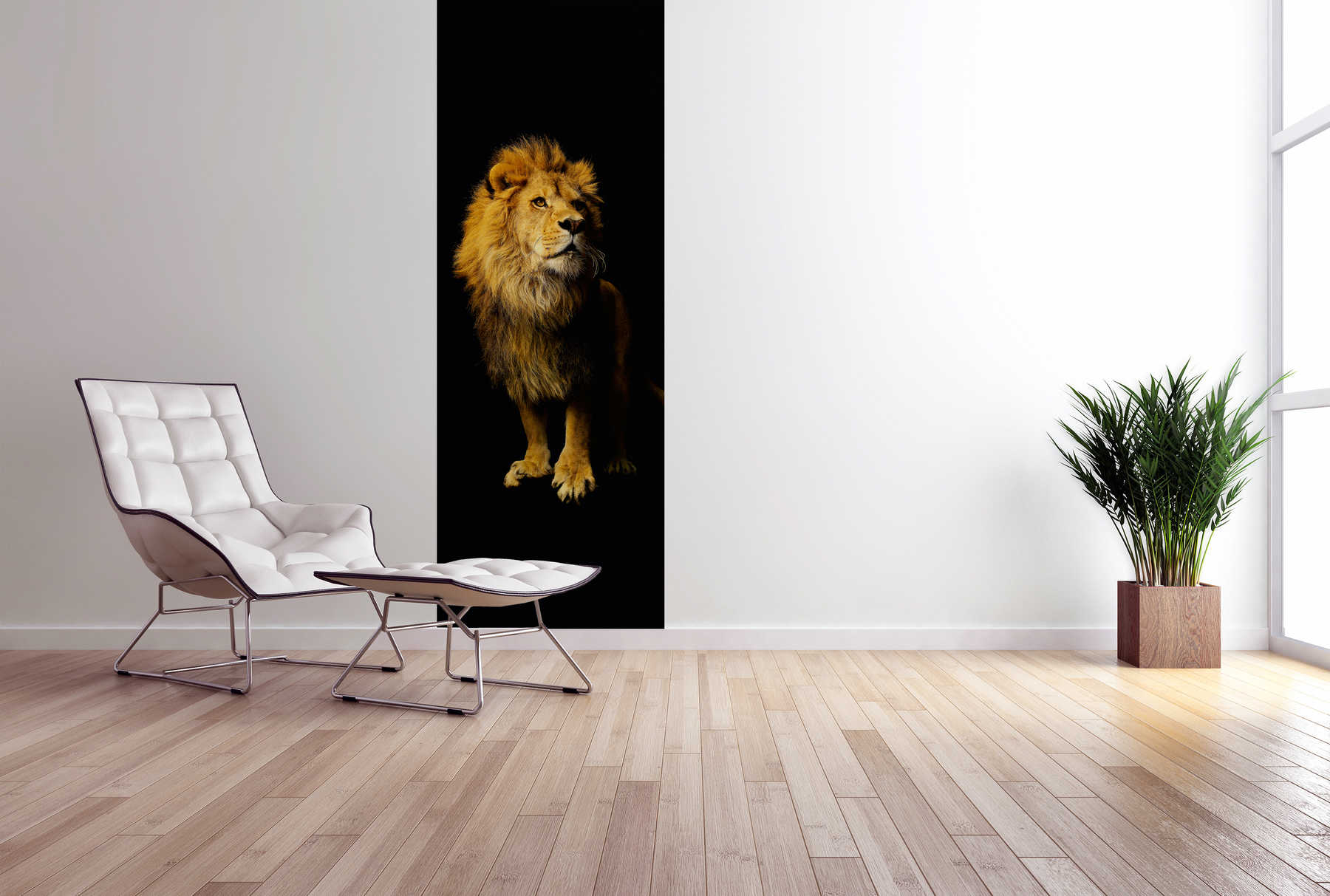             Tier Fototapete Löwen Motiv auf Premium Glattvlies
        