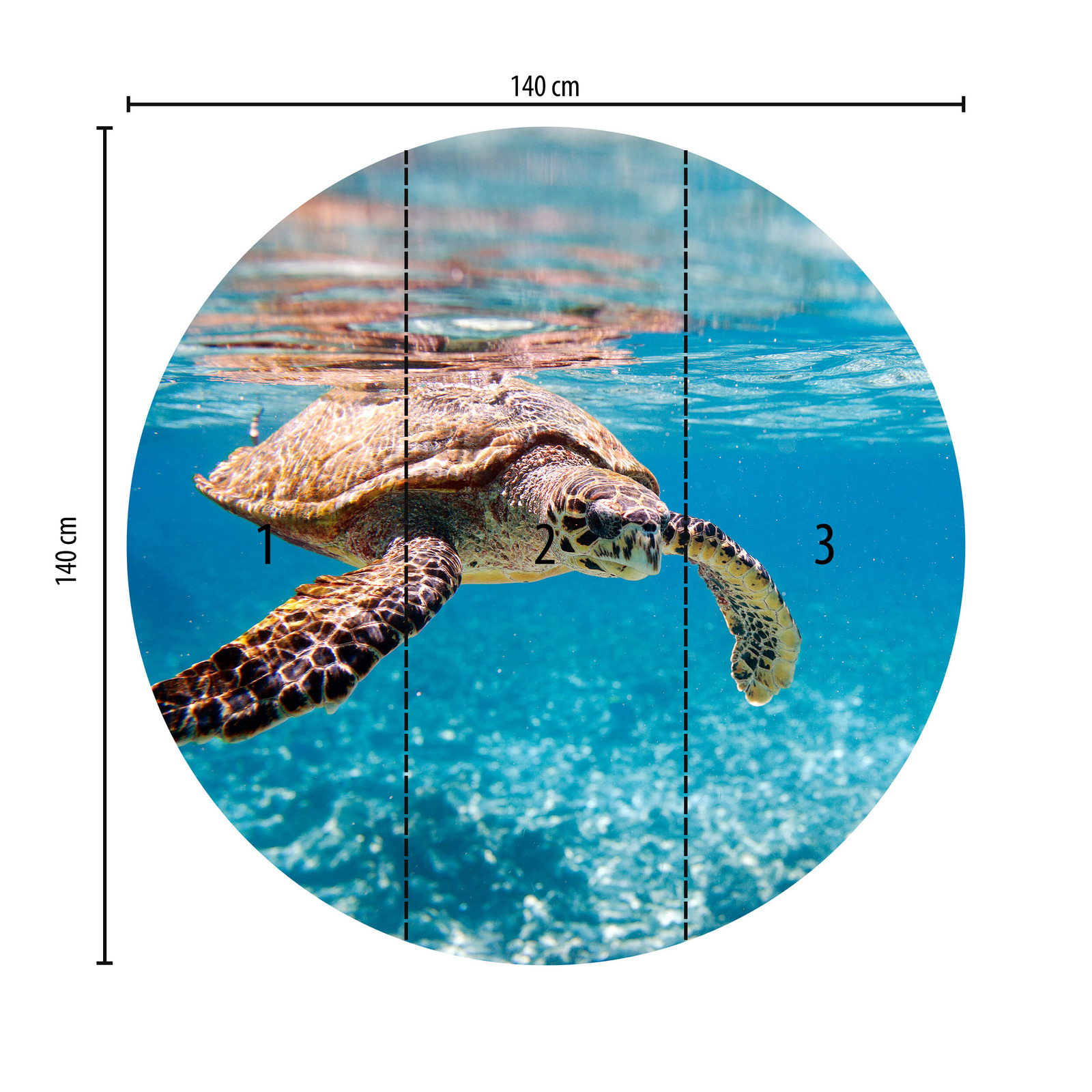             Fototapete rund Schildkröte unter Wasser
        