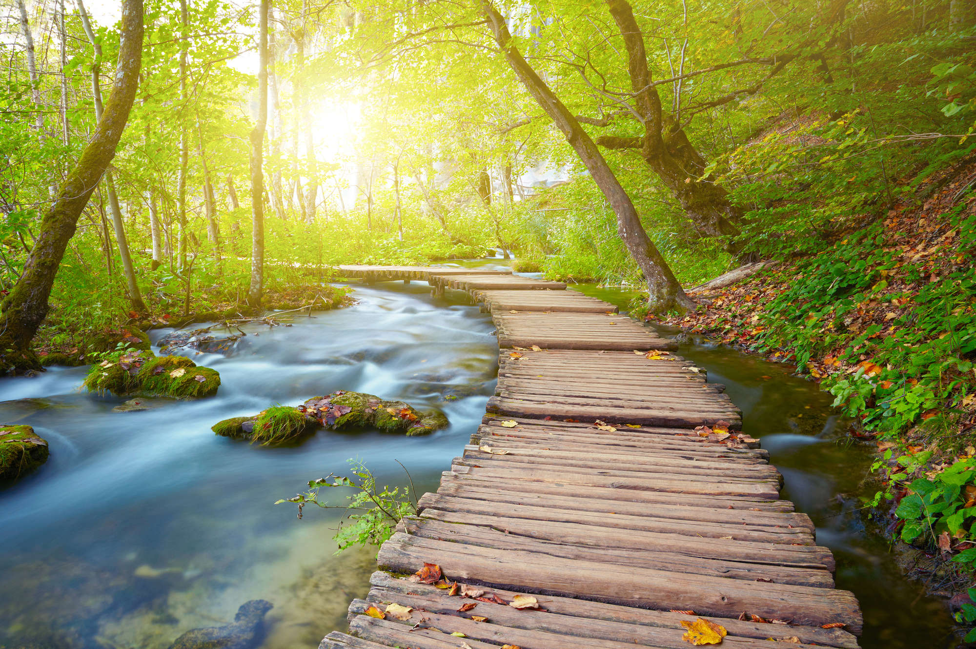             Natur Fototapete Fluss im Wald mit Holzsteg auf Premium Glattvlies
        