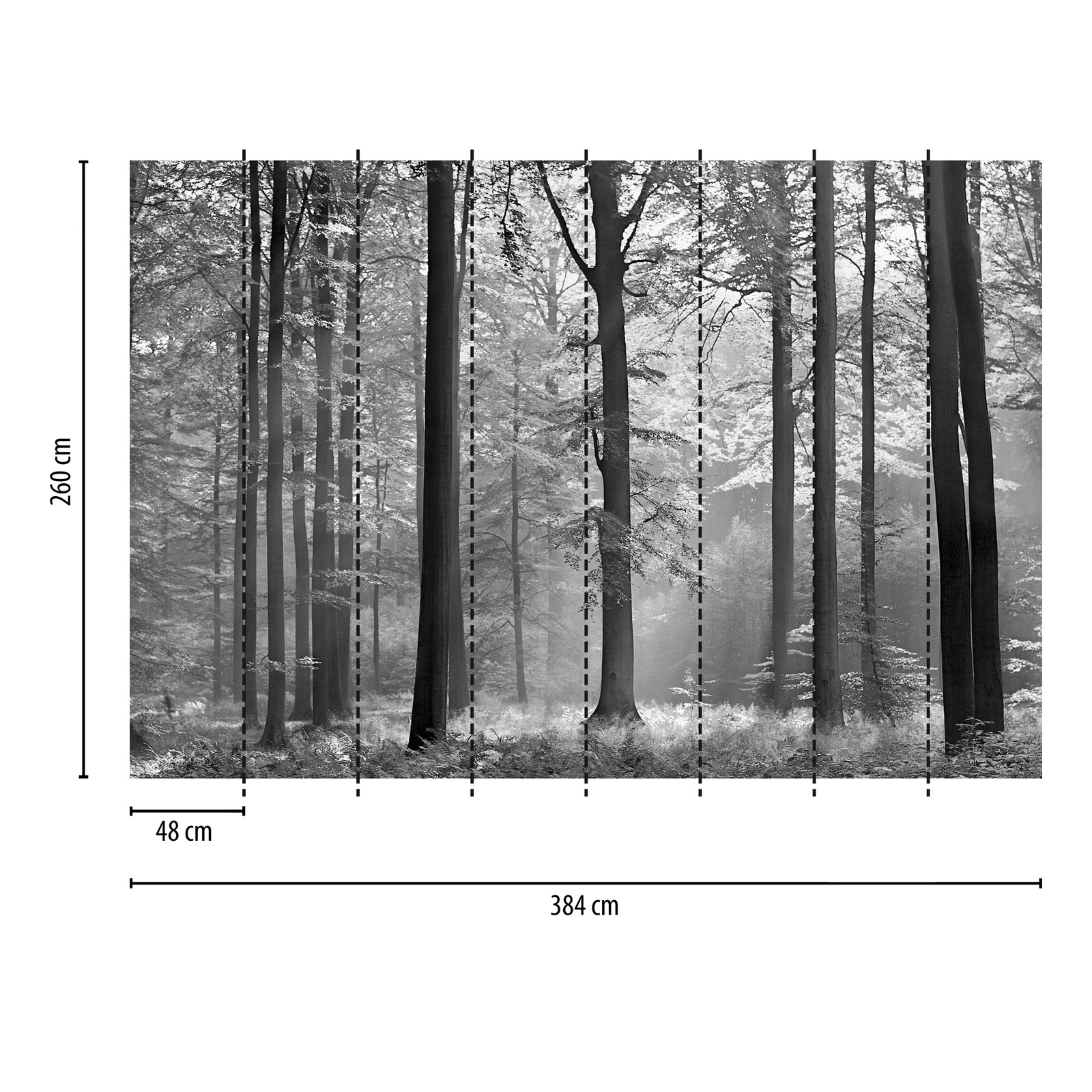             Schwarz-Weiß Fototapete Waldmotiv im Sonnenschein
        