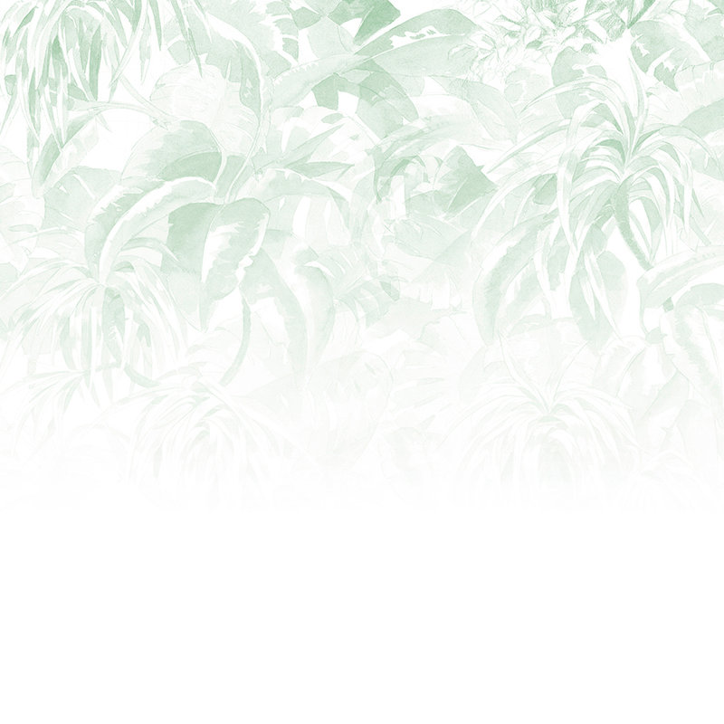         Fototapete tropische Blätter, minimalistisch & natürlich – Grün, Weiß
    
