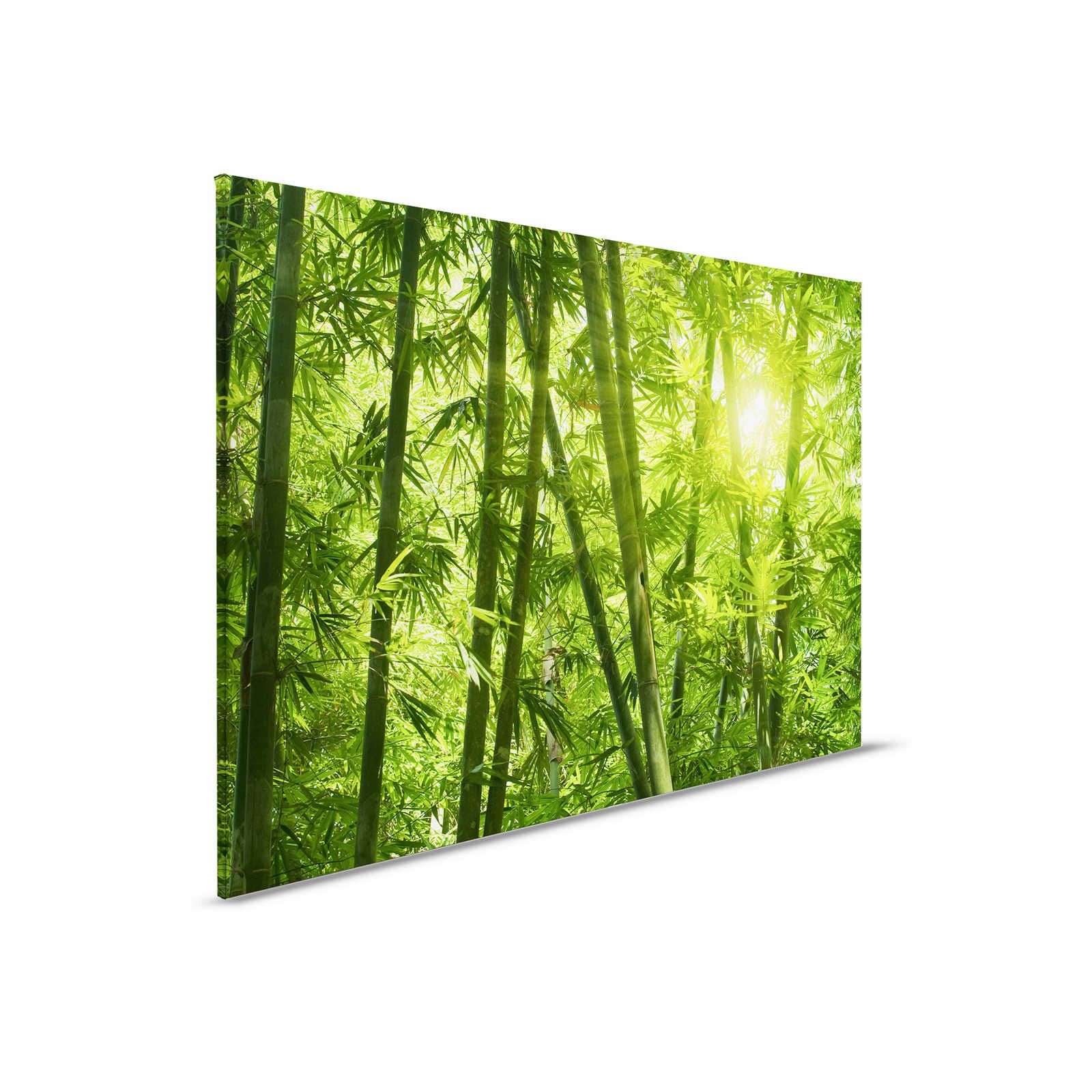         Leinwandbild Bambus und Blätter – 0,90 m x 0,60 m
    